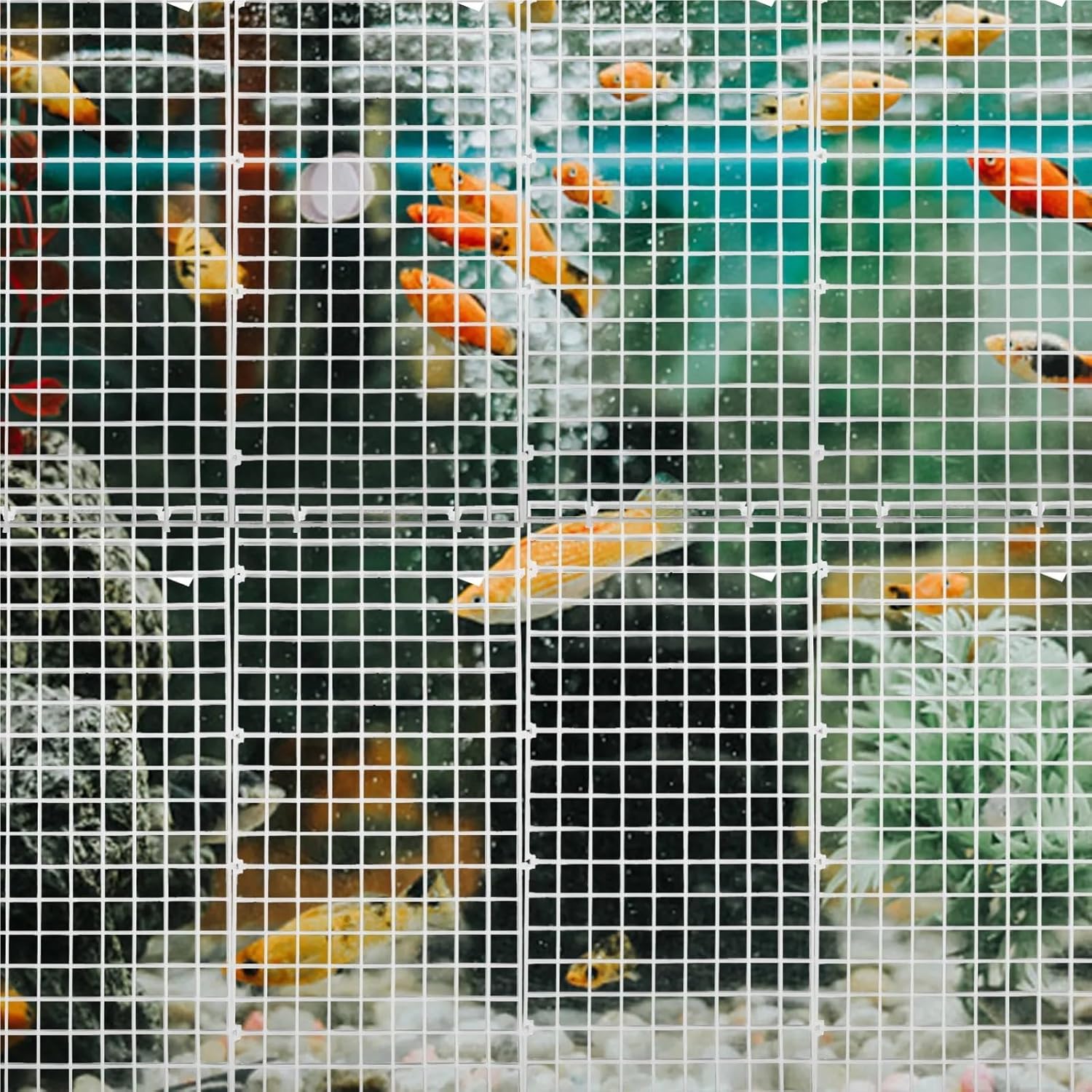 Fish Tank Bottom Filter Grid 10Pcs Fish Tank Separator Grid Divider Tray Plastic Aquarium Bottom Panel for Easy Installation Breeding Zone Creation(Transparent)