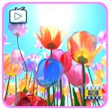 春の花の静寂 – 穏やかなチューリップの草原と癒しの自然音、スリープタイマー付きFire TVスクリーンセーバー