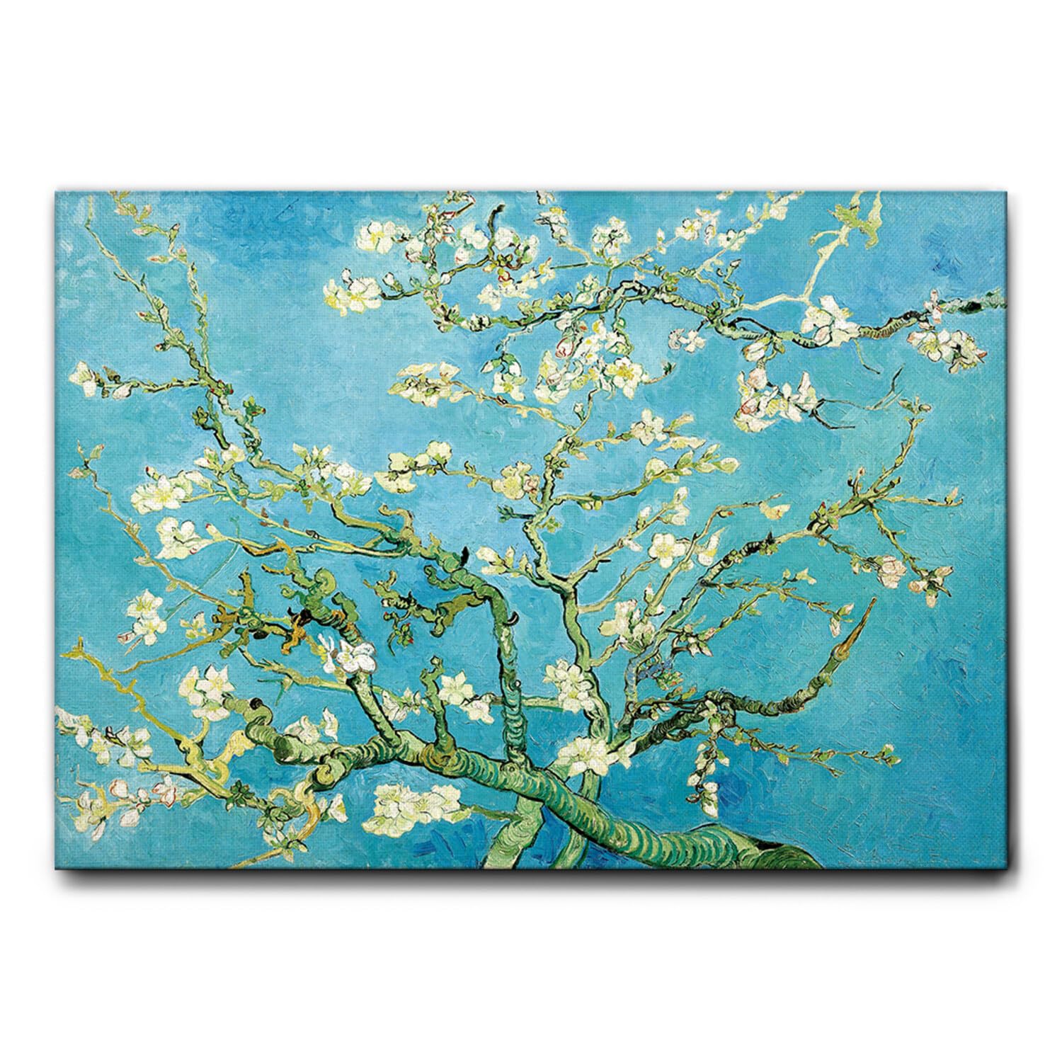 Giallobus - Quadro - Vincent Van Gogh - Fiori di mandorlo - Tela Canvas Telaio Standard - 100L x 70l cm - Pronto da appendere - Quadri moderni per la casa