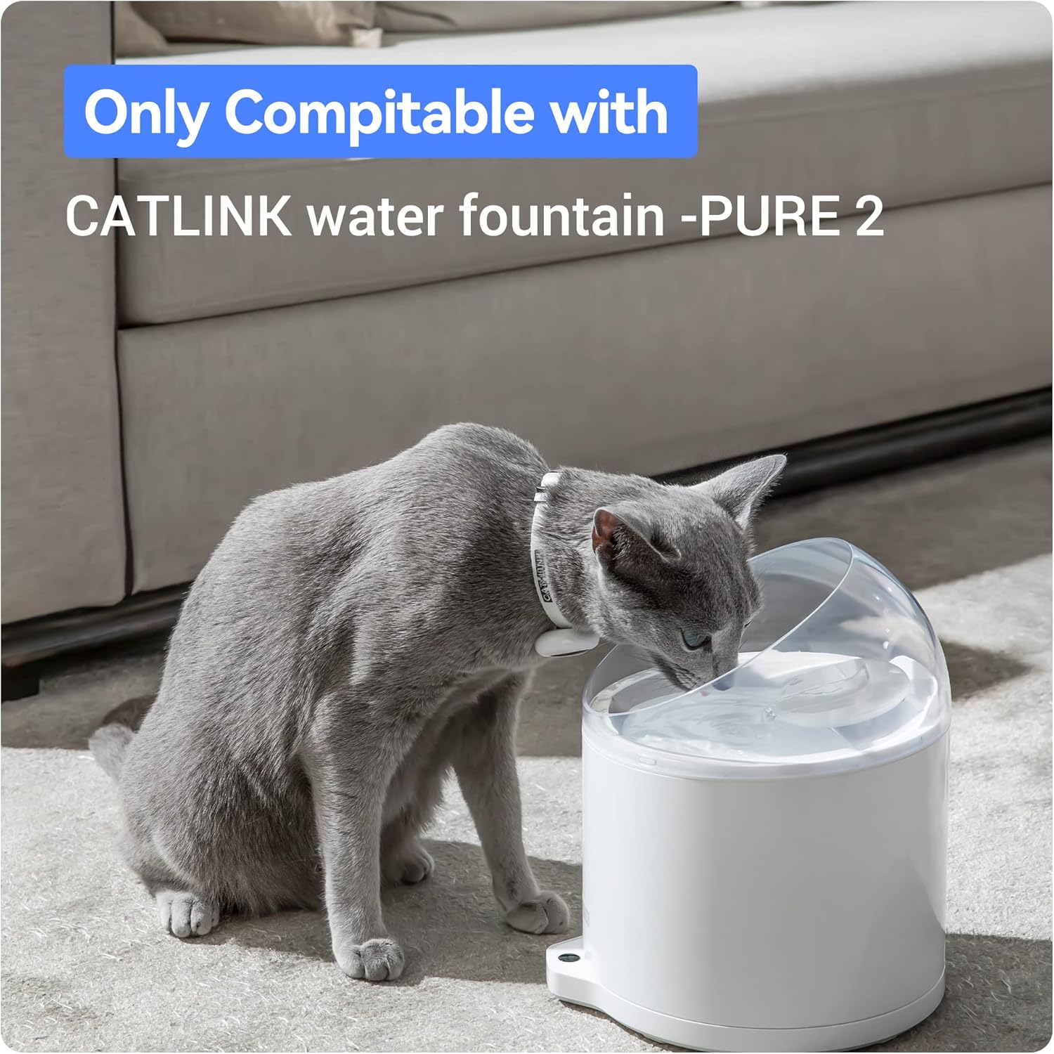 Cat drinking from CATLINK PURE 2 water fountain