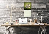 Vista 854 de Razas de Perros 2017