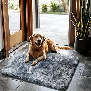 2x3 Fluffy Area Rugs for Bedroom Living Room,Small Soft Shag Fuzzy Rug Non-Shedding Indoor Plush Carpet for Kids Bedroom Nursery Dorm Home Decor,Tie-Dyed Black