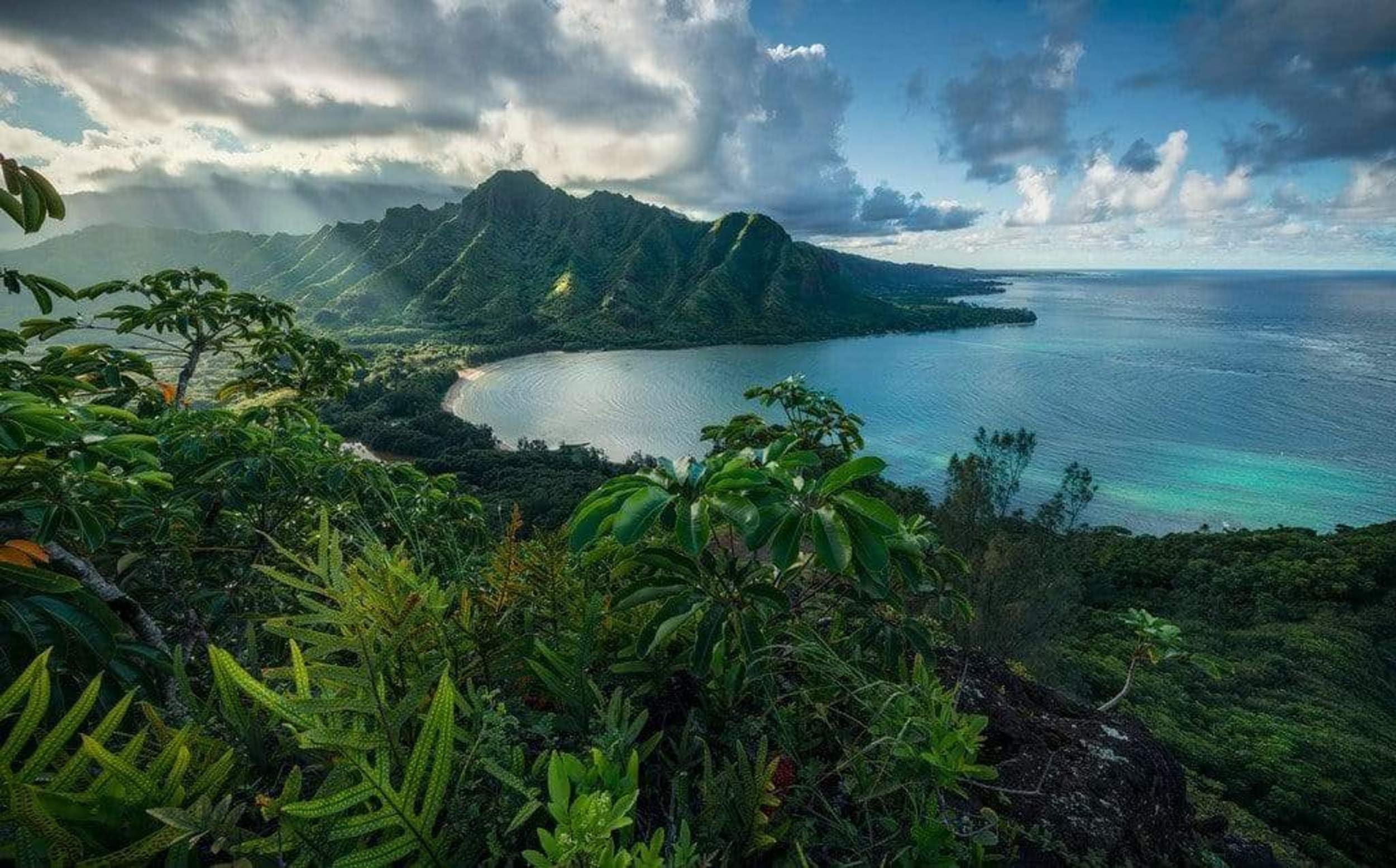 Île de Jurassic poster XXL pour chambre ado et salon | Décoration murale géante 450x280