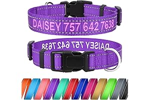 Personalized Dog Collar with Name: Keep Your Pet Safe and Stylish