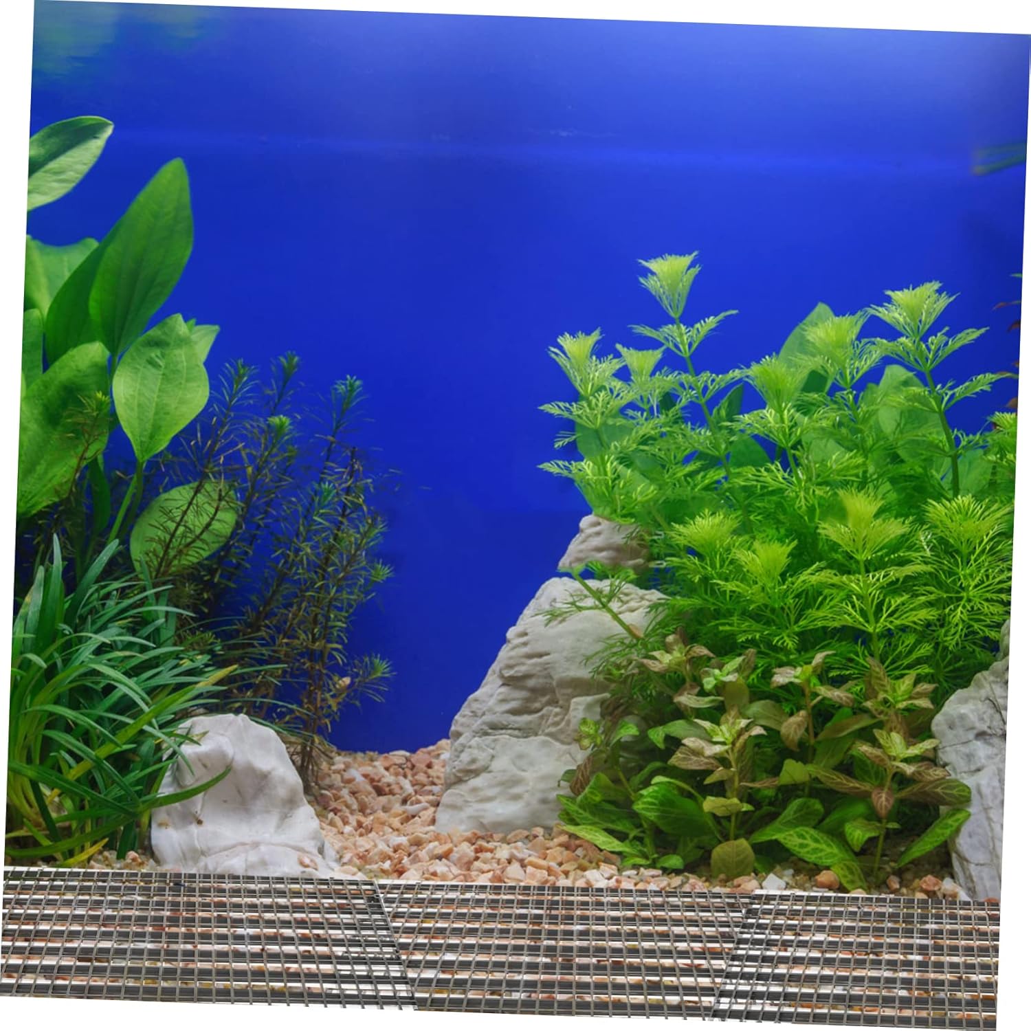1set Fish Tank Divider Plates Cups Aquarium Isolation for Fish Tank Removable and