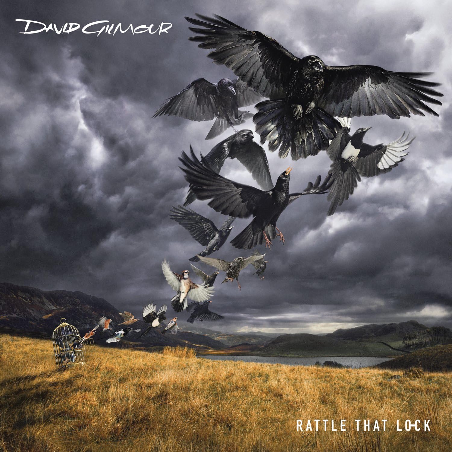 Rattle That Lock (Audio CD)