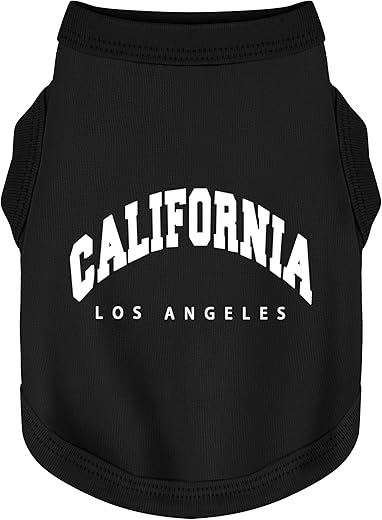 Dog Apparel & Accessories