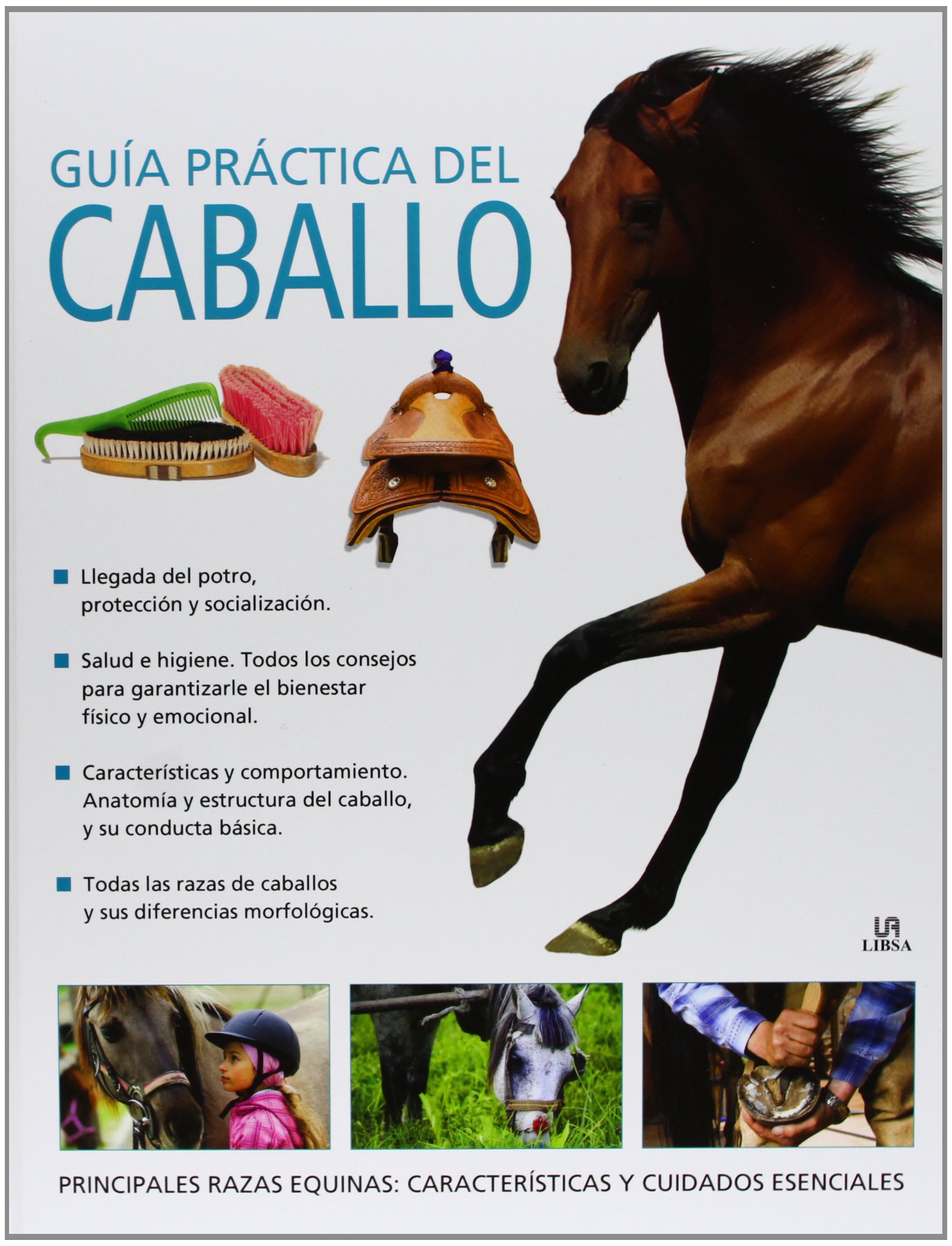 Guía Práctica del Caballo