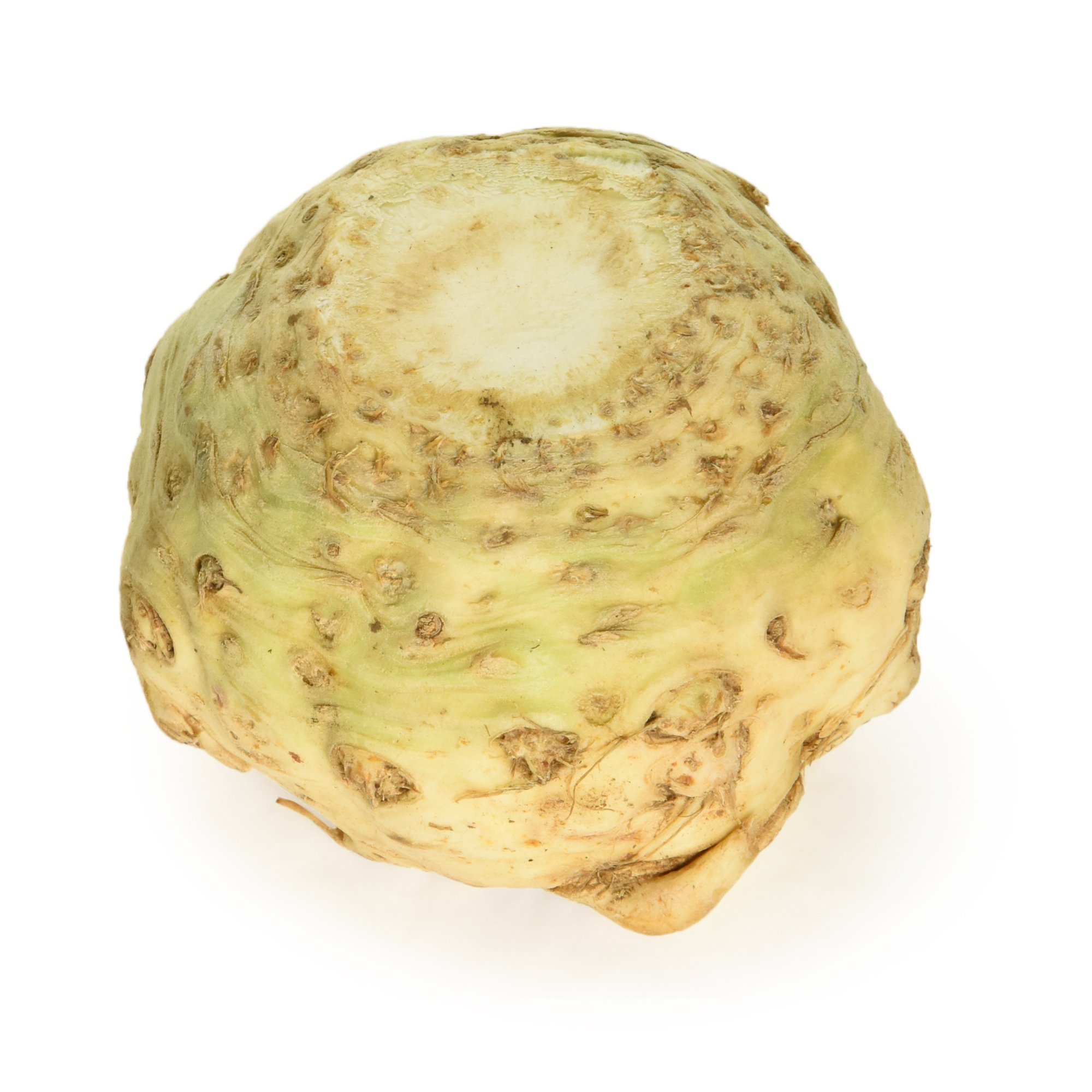 Curious Celeriac Each