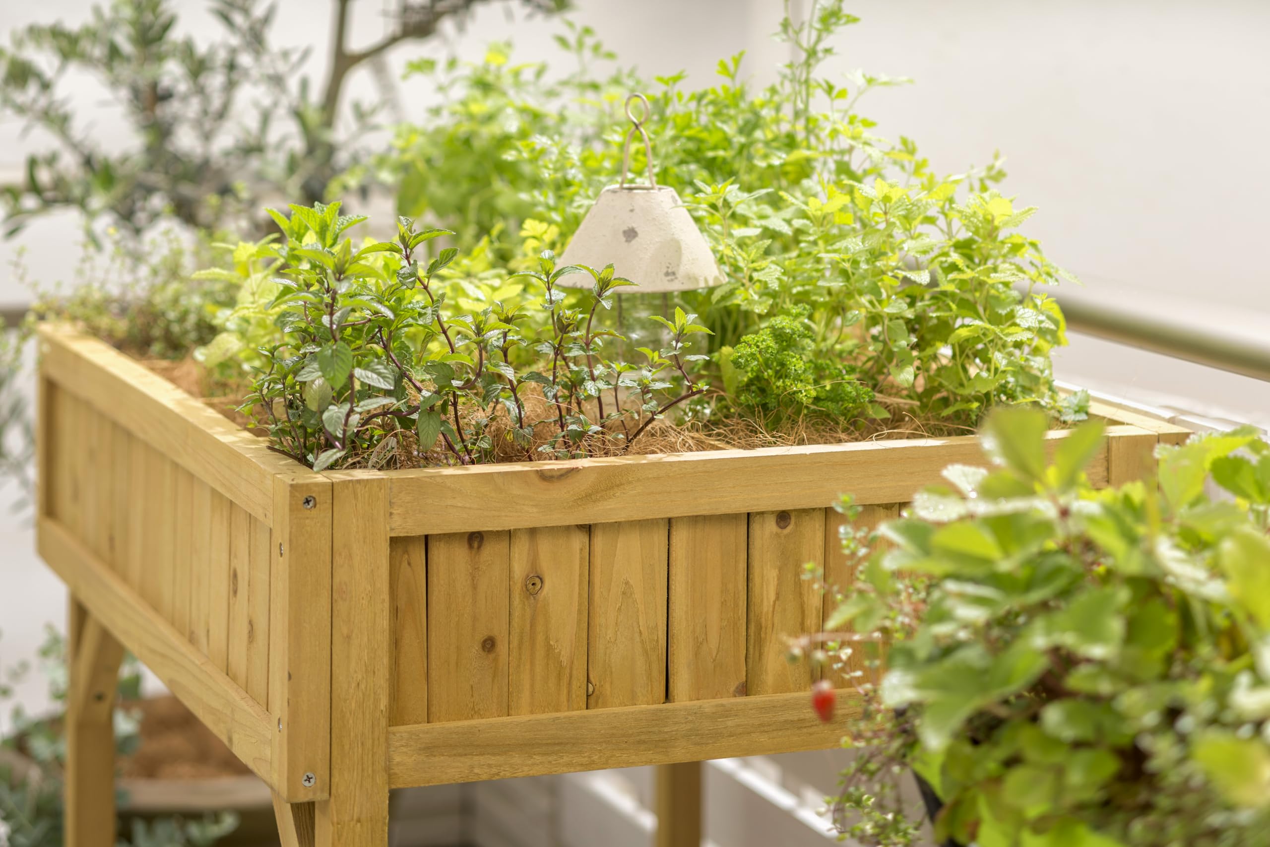 Vegtrug - Mesa de Cultivo, Incluye Compartimentos para Plantas // 80 x 78 x 58 cm (Largo x Prof. x Alto)
