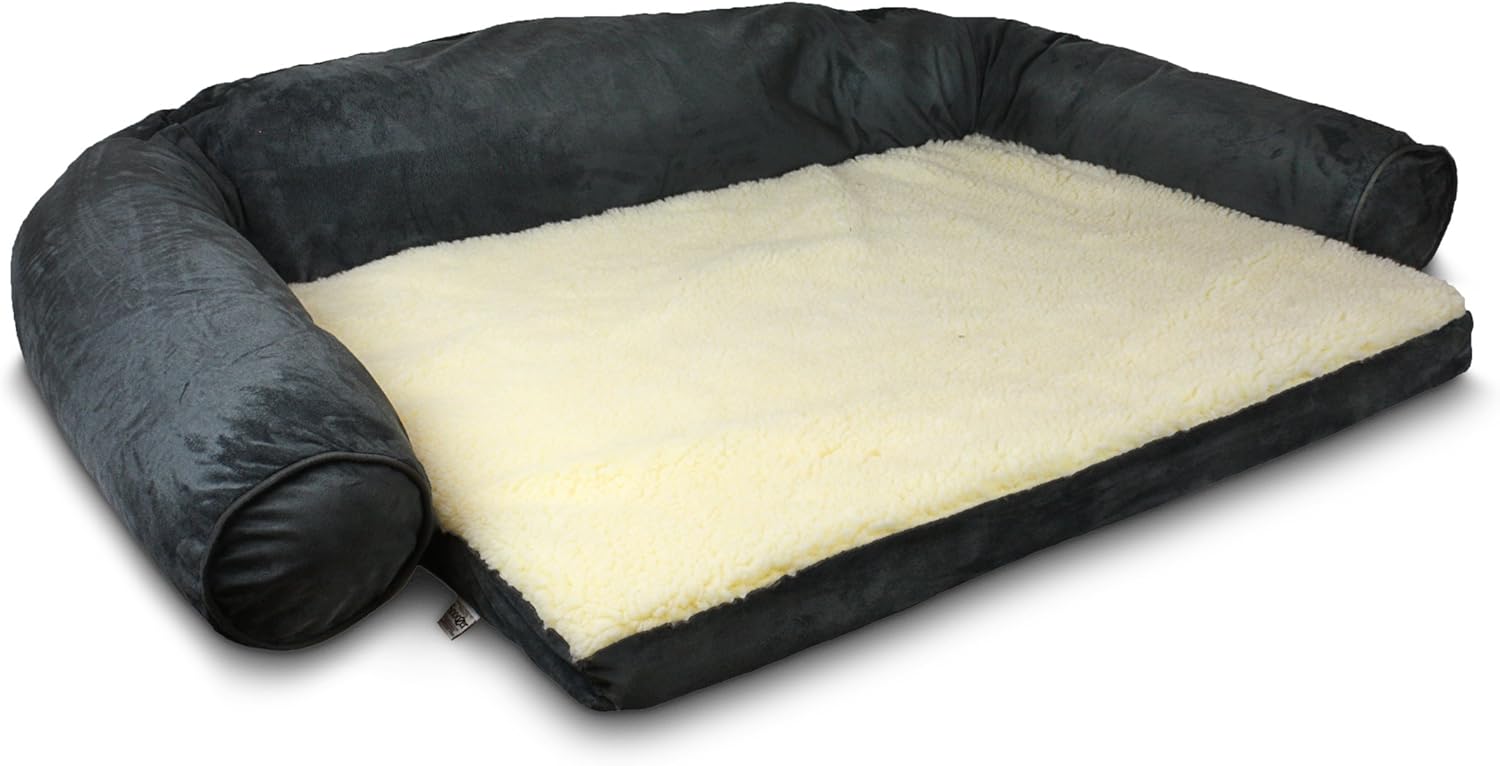 Amazon snoozer Clearance