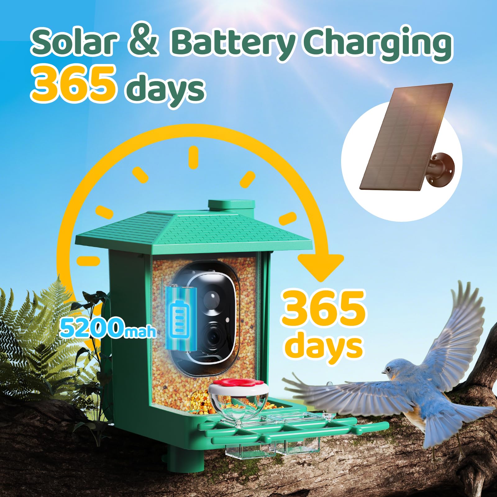 Comedero Pajaros Exterior Camara Solar: 2K HD WiFi Comedero para PáJaros Resistente IP66 - Regalos para Los Amantes Los PáJaros AI Seguimiento Prueba Ardillas Jardin- Bird Feeder Camara
