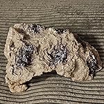 Review Image by Rob Adams Rob Adams