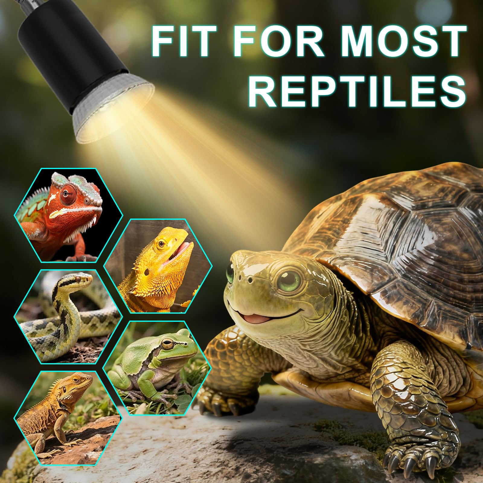 Reptile Heat Lamp Turtle Light - Long Lasting Ceramic Socket Basking Lamp with Auto Timer & Dimmer, 2 E27 Bulbs (25W & 50W) with UVB Support & Test Card for Turtles, Tortoises, Bearded Dragons, Geckos - image 6