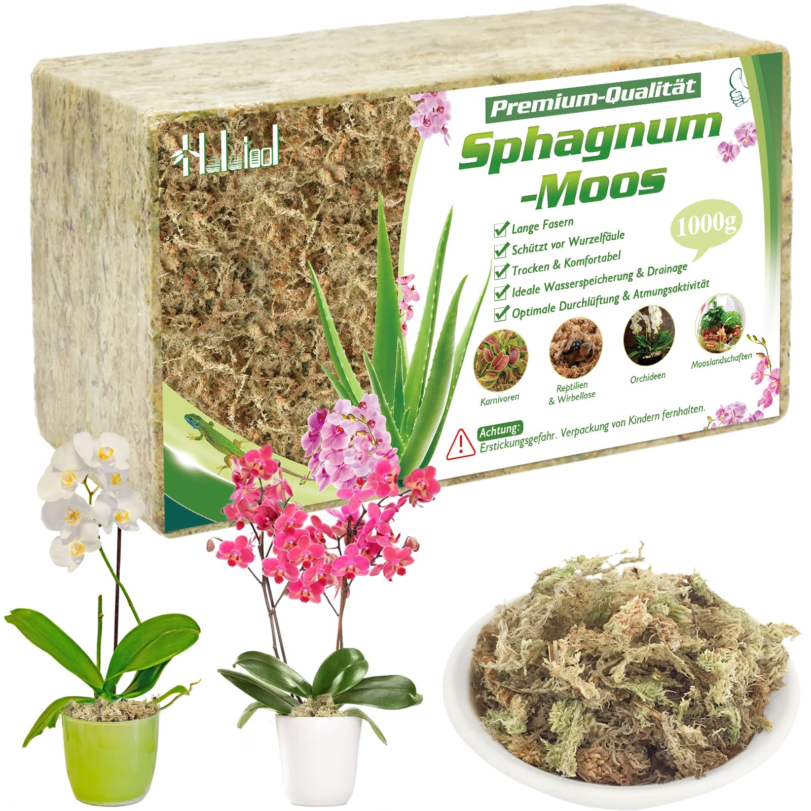 Halatoo 170g Sphagnum Moos für Pflanzen，Natürliches Torfmoos Langfaser，Moos für Orchideen Terrarien,fleischfressende Pflanzen,Sukkulenten und Reptilien.