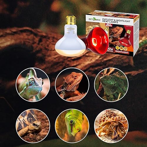 Miniatura 6 de REPTI ZOO Combo de bombillas de calor para reptiles de 100 W, paquete de 2 luces mejoradas para tomar el día y la noche, lámpara de calefacción de