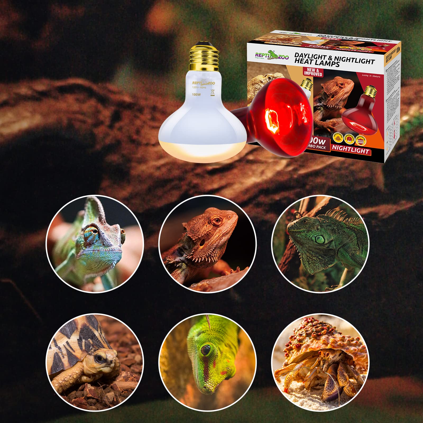 REPTI ZOO 100W Reptile Heat Lamp Bulbs Combo – Day & Night Basking Lights For Reptiles & Amphibians