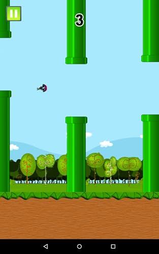 Rough Landing – vue 4