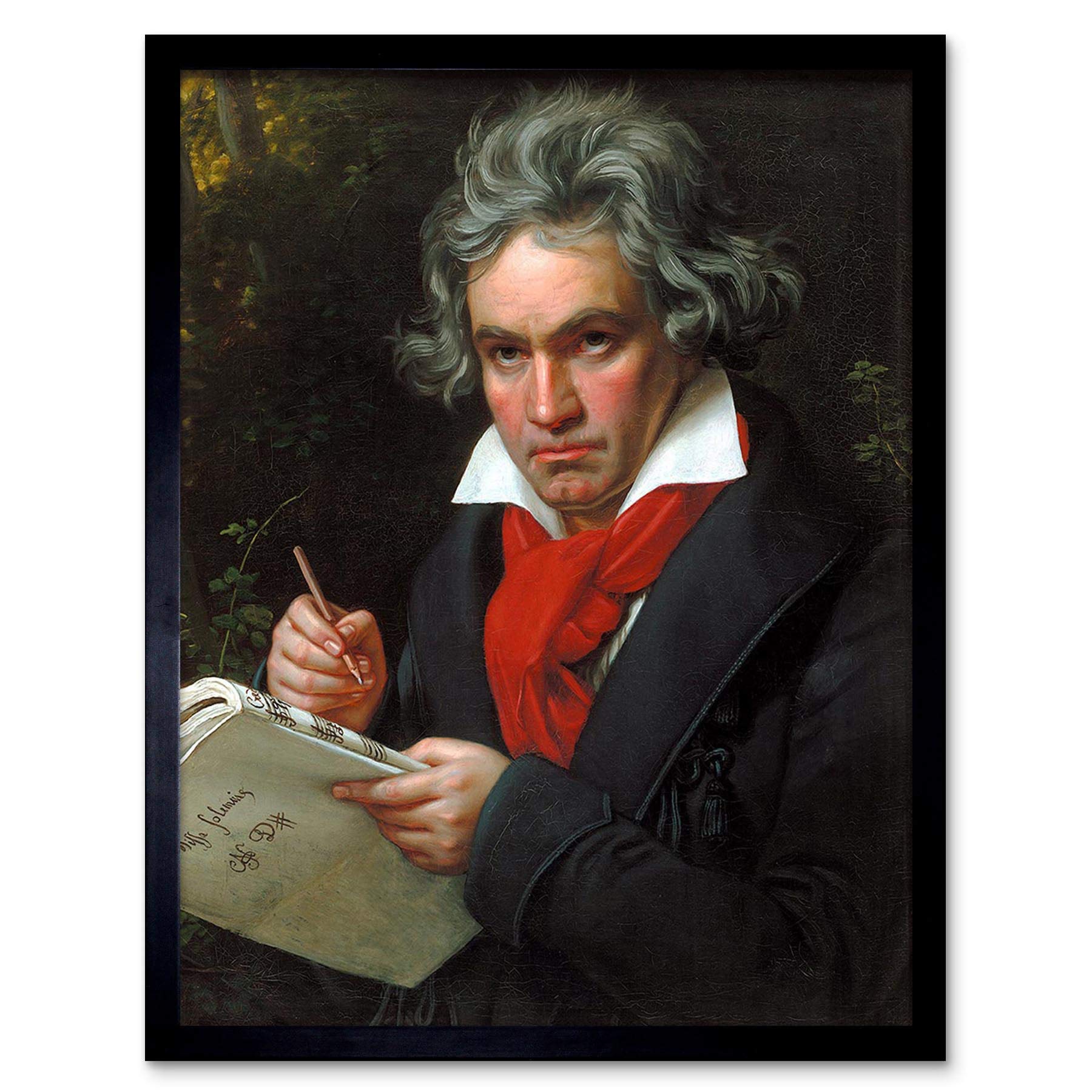 Wee Blue Coo Stieler Composer Ludwig Van Beethoven Art Print Framed Poster Wall Decor 12X16 Inch