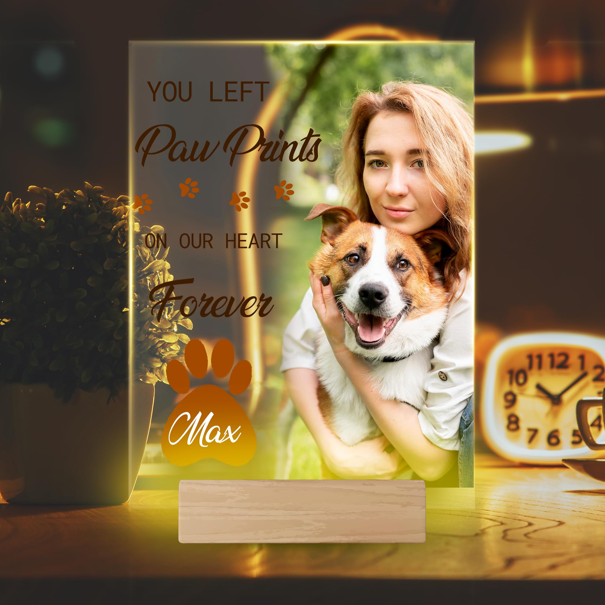 Custom Pet Memorial Art with Photo and Names - Personalized Acrylic Keepsake - Customizable Picture Frame with Optional LED - Meaningful Gift for