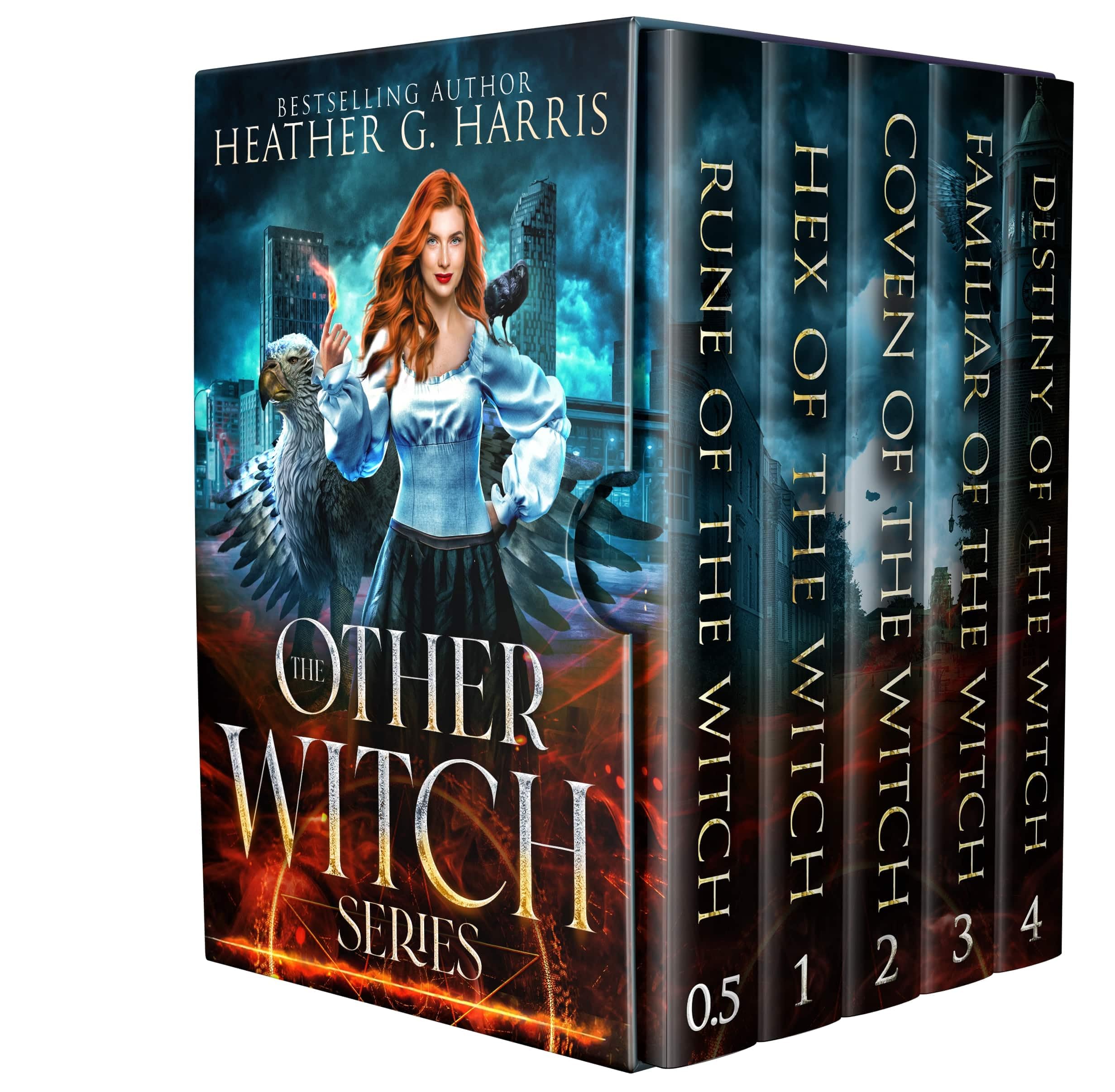 Book cover for The Other Witch series