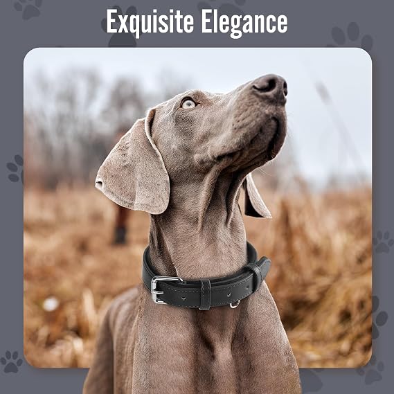 Grand Line Leather Collar, Wider & Thicker Durable with Soft Padded, Adjustable for Small to Large Dogs & Cats (Black, XS)