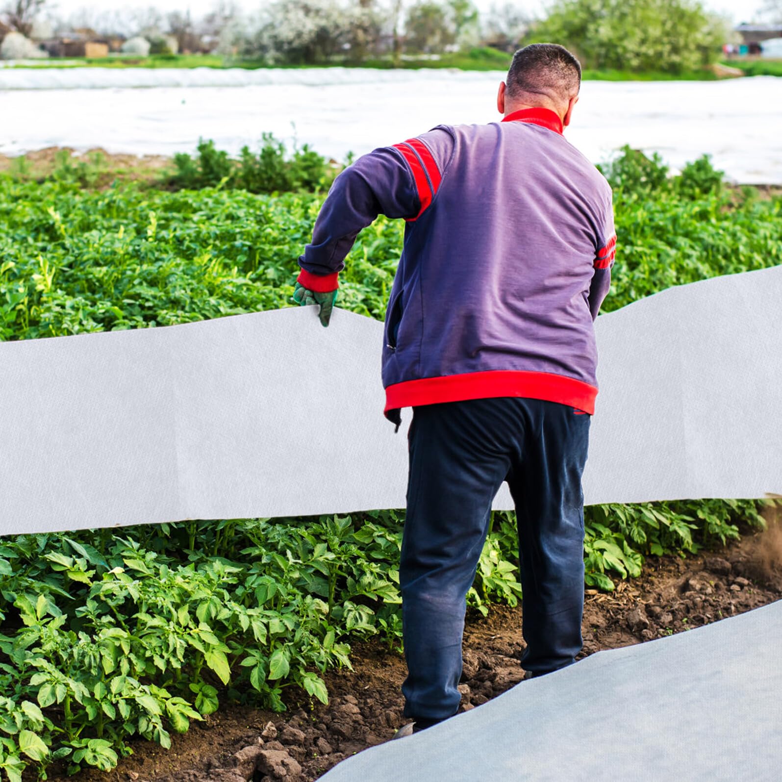 2 Piezas Cobertores de Jardín de Tela No Tejida para Plantas Manta Antigélida Transpirable y Resistente Protección contra Frío y Viento para Cultivo