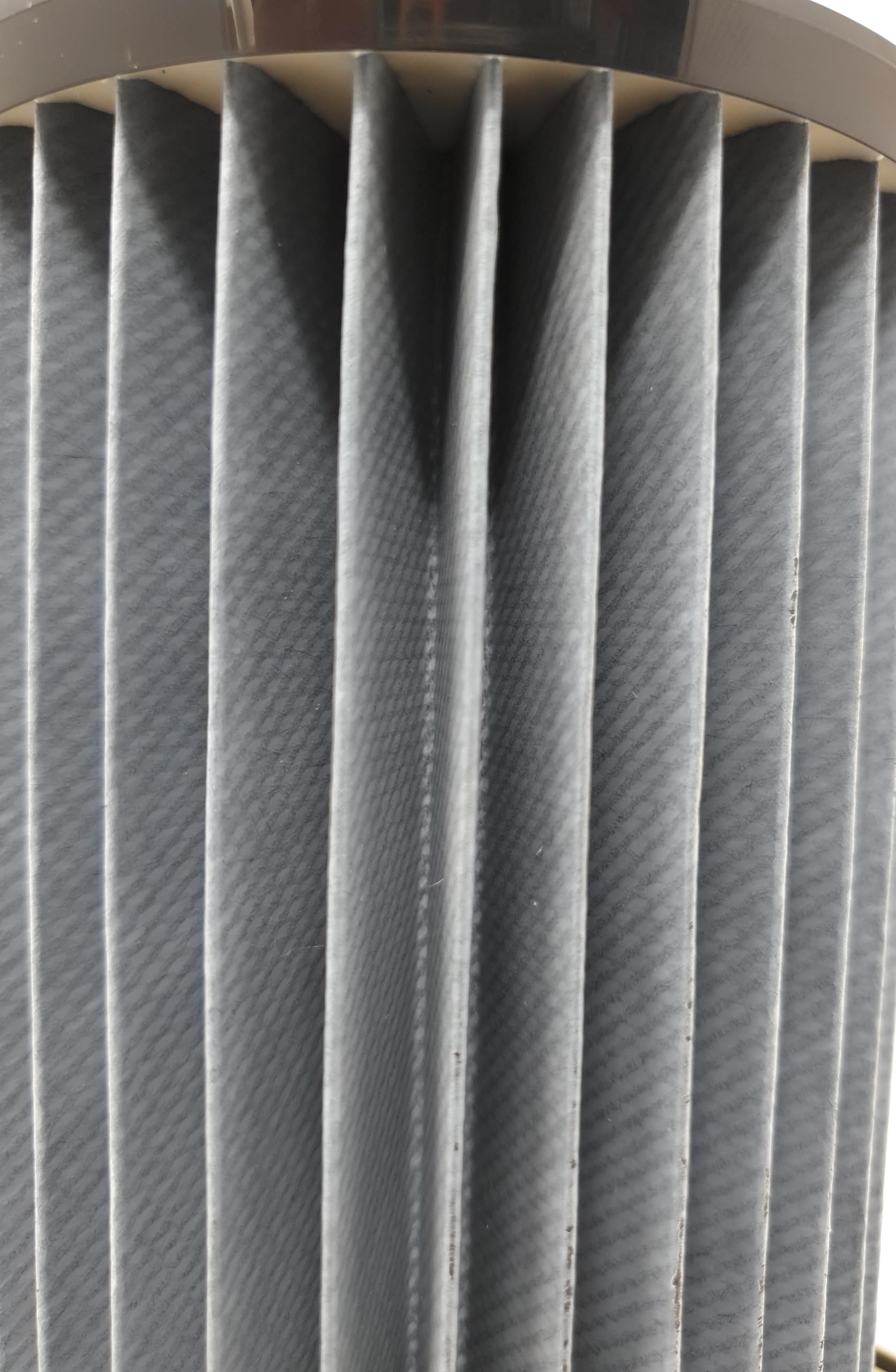 Bosch - Filtro de láminas original para aspiradora Relaxx'x BGS7...VSX7