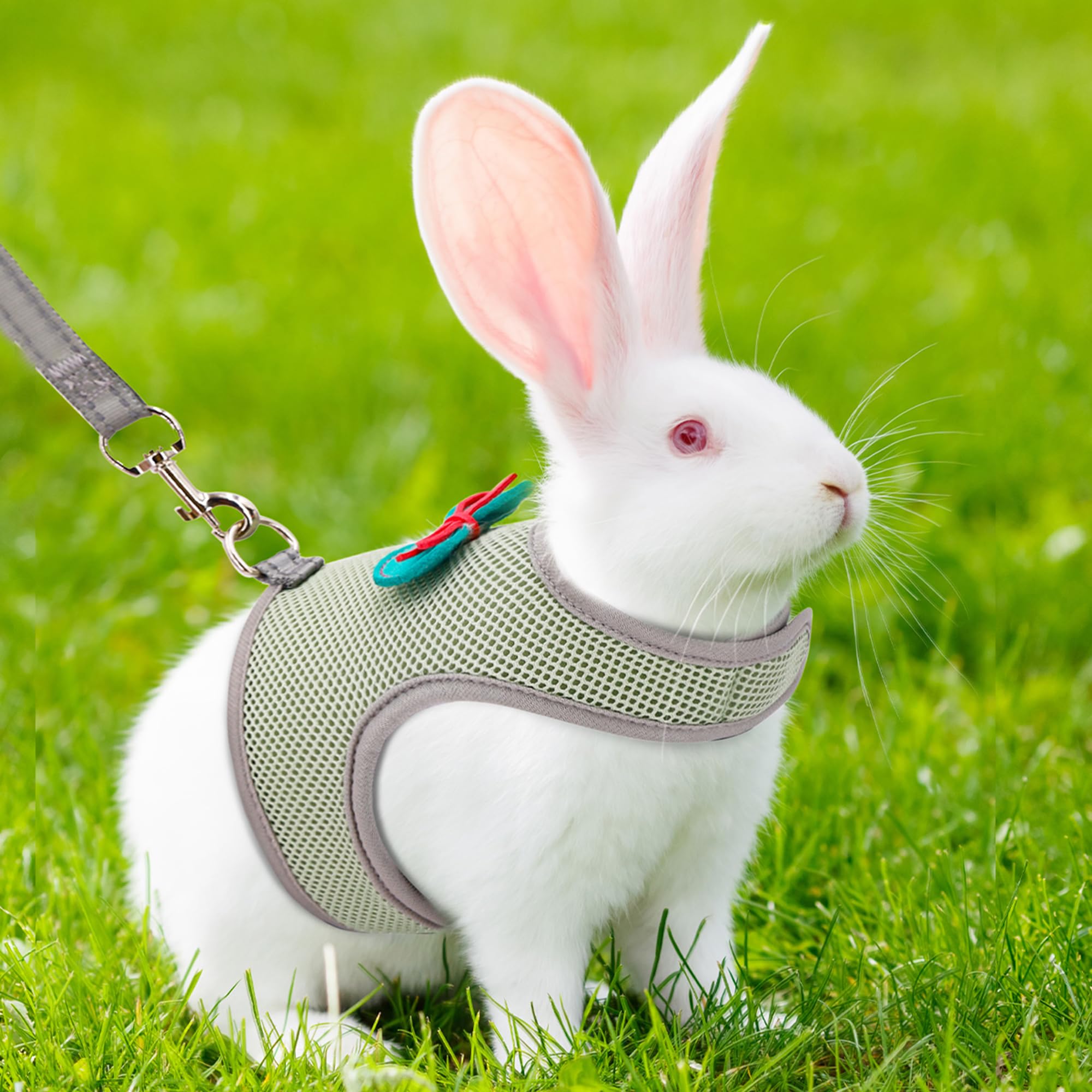 AIITLE Ensemble harnais et laisse pour lapin avec nœud mignon, harnais réglable anti-fugue pour lapins, chatons, furets, chiots et petits animaux de compagnie, pour promenade, randonnée, camping,