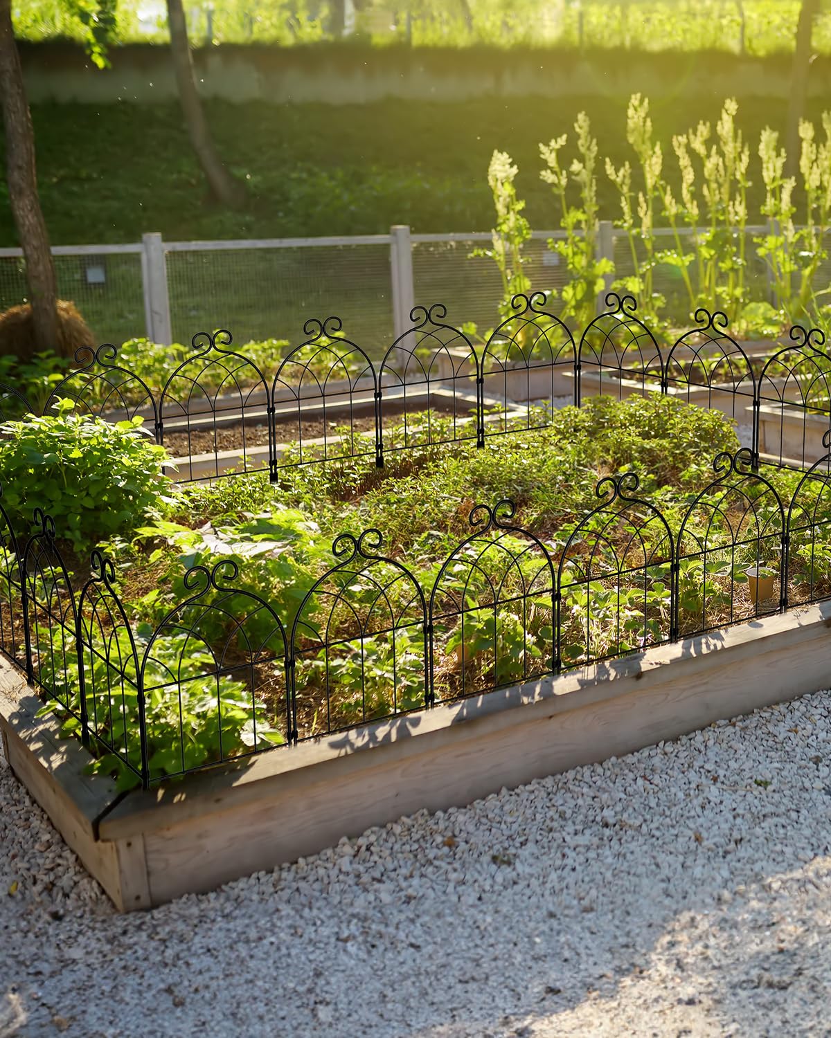 MOOACE Gartenzaun, 35 Teile, 11,3 M Lang, 55,9 Cm Hoch – Metall, Schwarz, Für Beete, Terrasse, Kleintierschutz