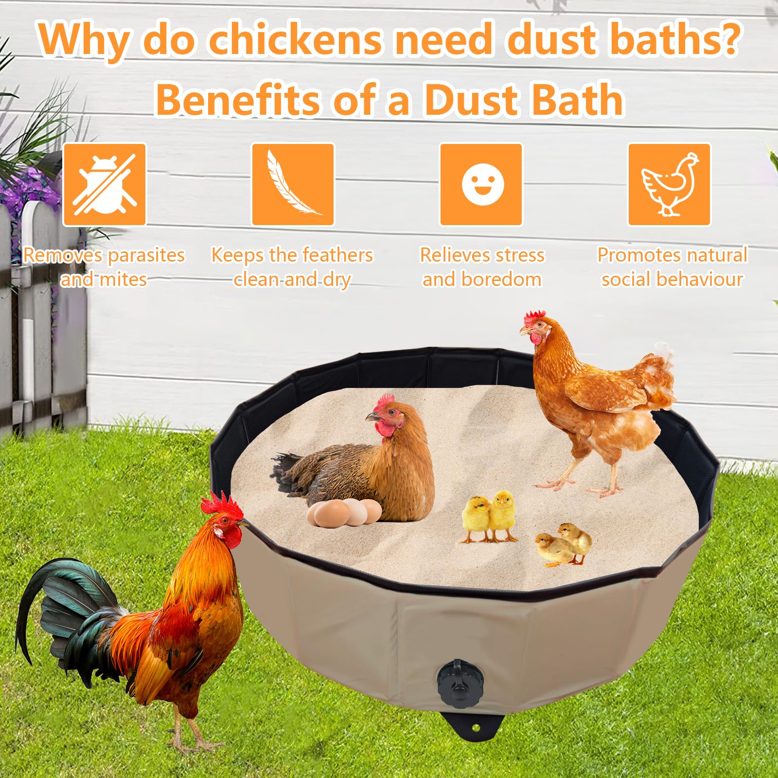 Pollo Baño de Arena Bañera Plegable para Gallinas, Recipiente de Limpieza PVC Portátil