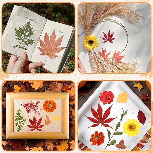 Vista 66 de Augshy 141 flores secas prensadas para resina, flores secas naturales reales prensadas para manualidades, moldes de resina, álbumes de recortes, 5