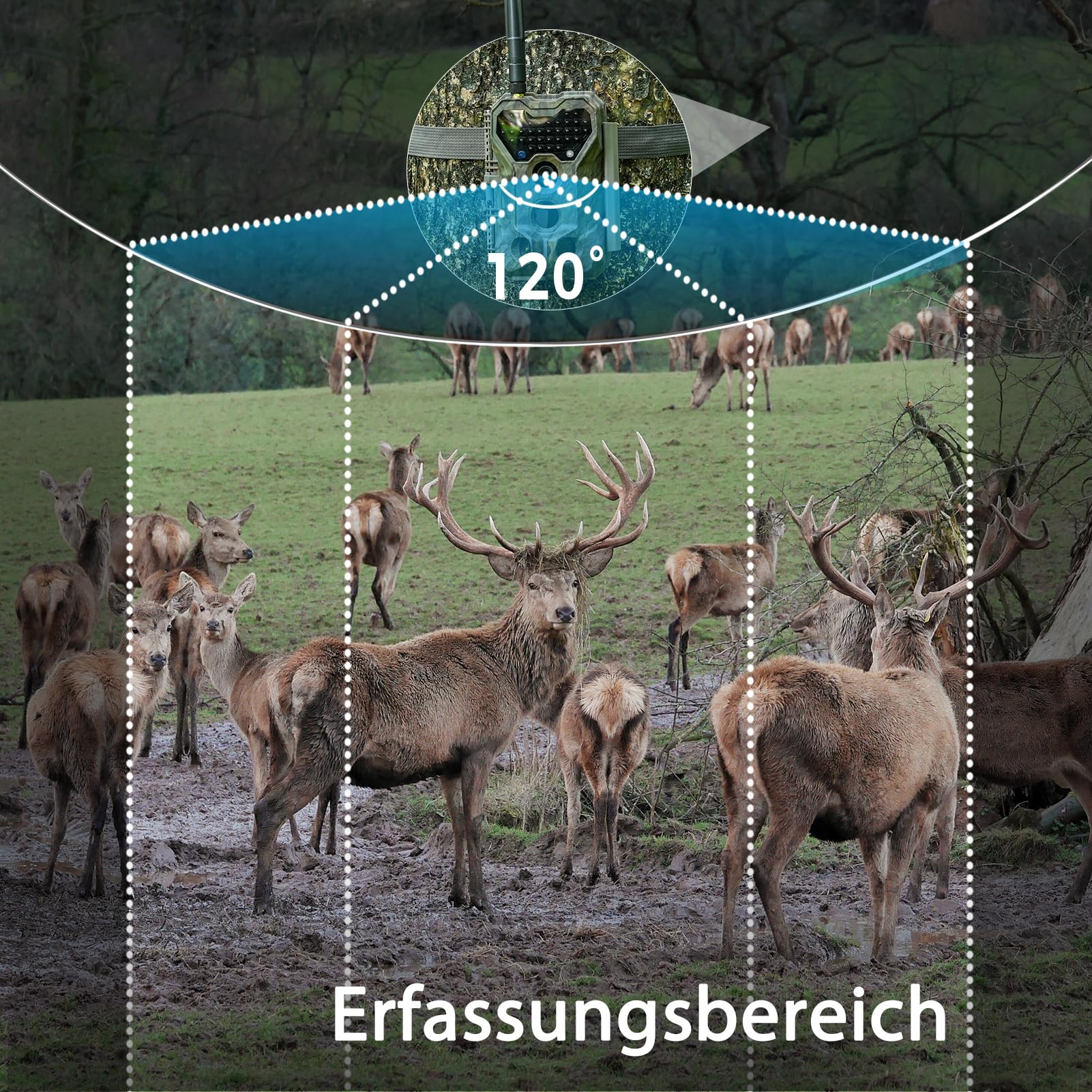 Meidase P300 Wildkamera, WiFi Bluetooth 50m Verbindungsreichweite, Dual Antenne, 64mp 1296p, Nachtsehen, Bewegungsaktivierung, Ip66 Wasserdicht, App Übertragung, Außenüberwachung