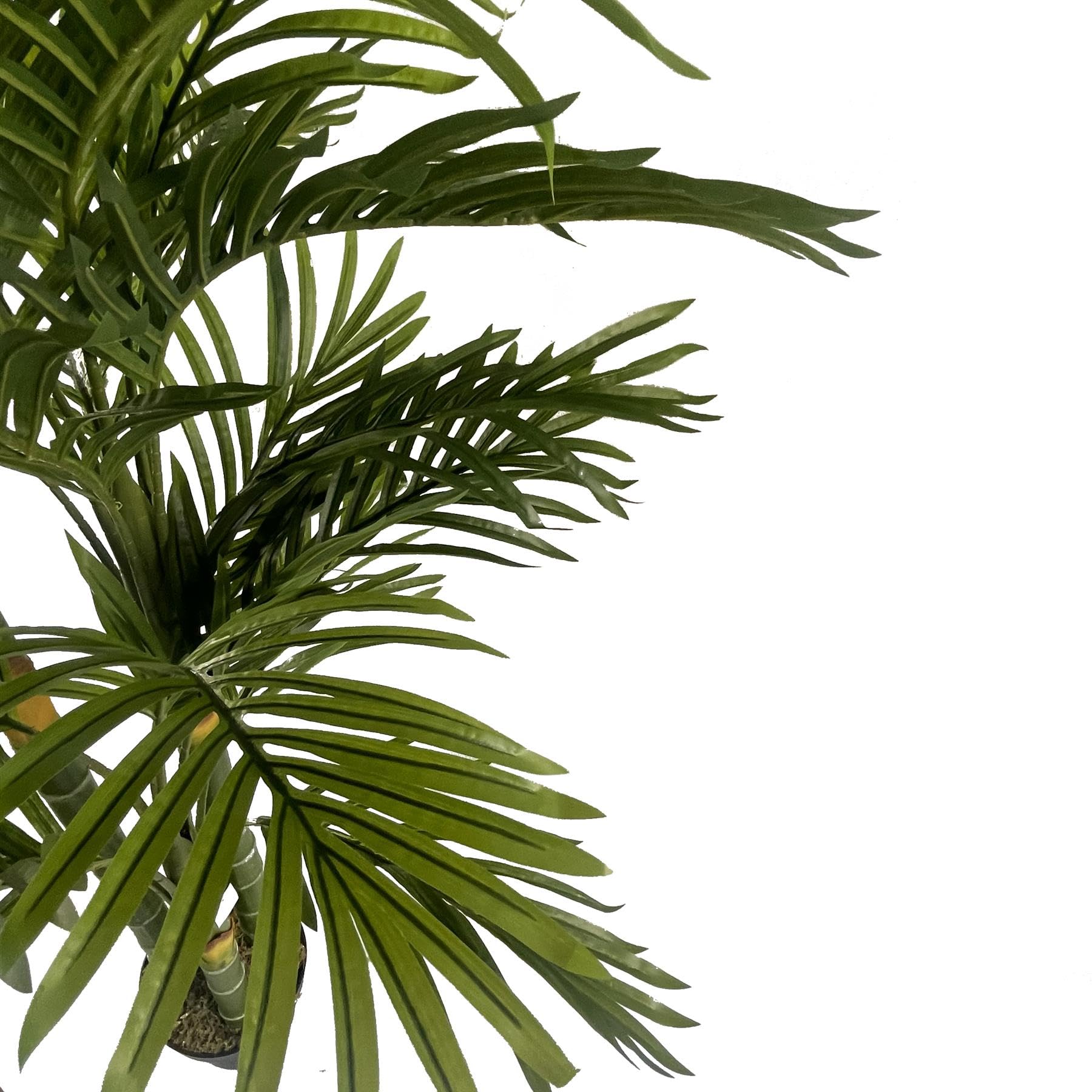 Realistic Potted Artificial Palm and Tropical Trees - Ready to Display - Image 3