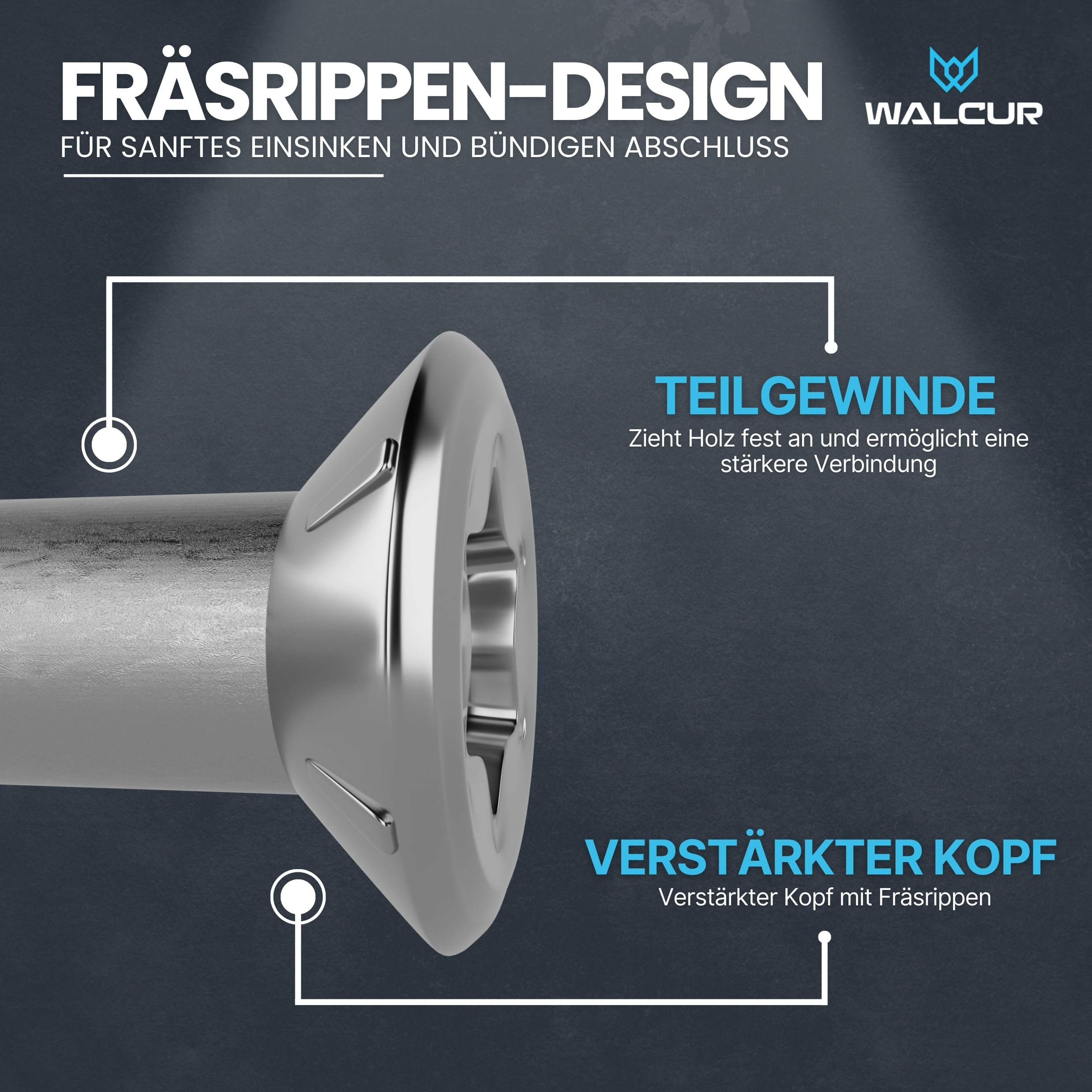 GeZu Impex 1000 Stück Walcur Terassenschrauben 5 x 60 mm Edelstahl Torx + 2 Bits + 1 Bohrer Bohrschrauben Holzschrauben Holzbauschrauben