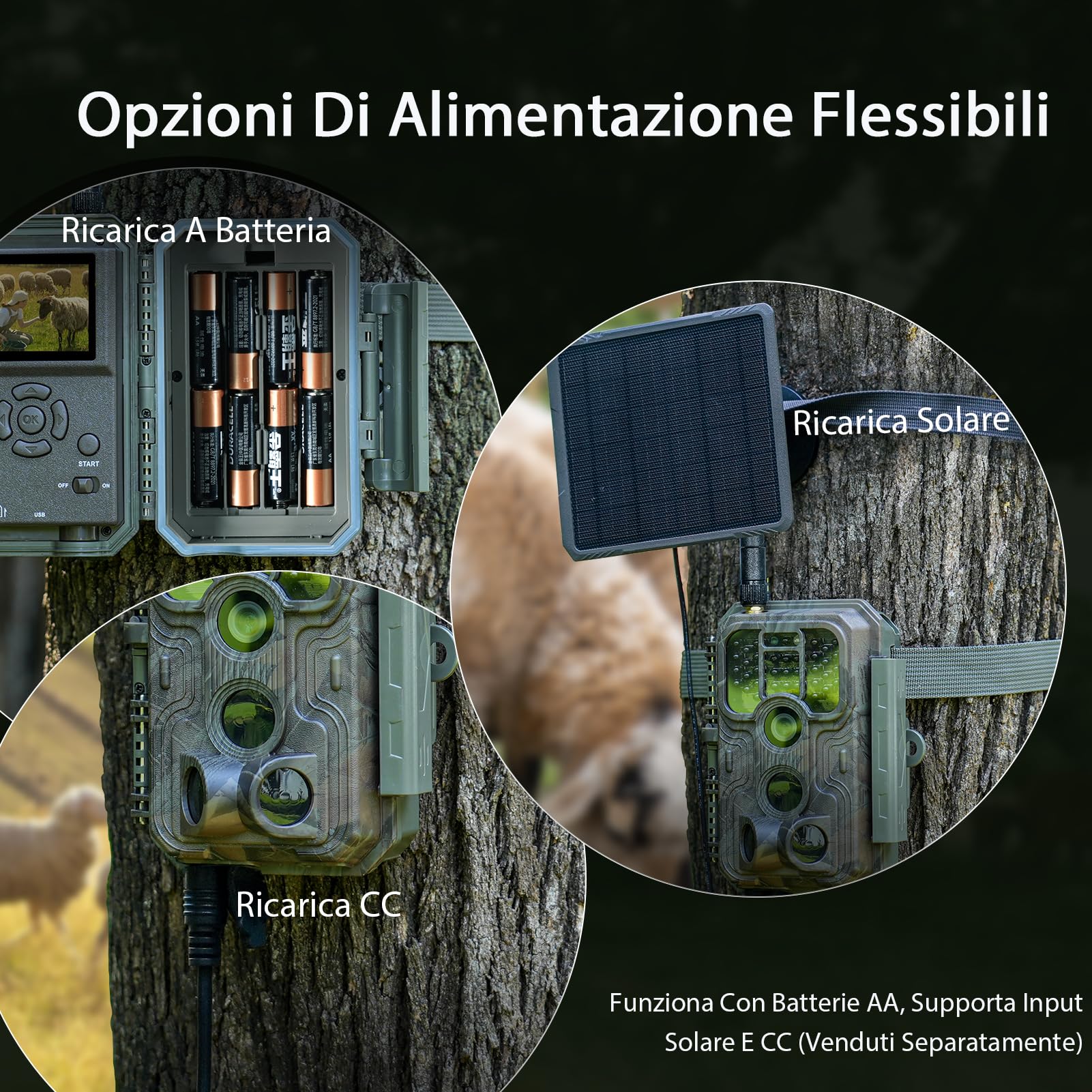Meidase P200 Fototrappola WiFi Bluetooth, 48MP 1296P, Visione Notturna 30m, Attivazione Movimento 0.1s, IP66 Impermeabile, Trasmissione App Mobile, Monitoraggio Esterno