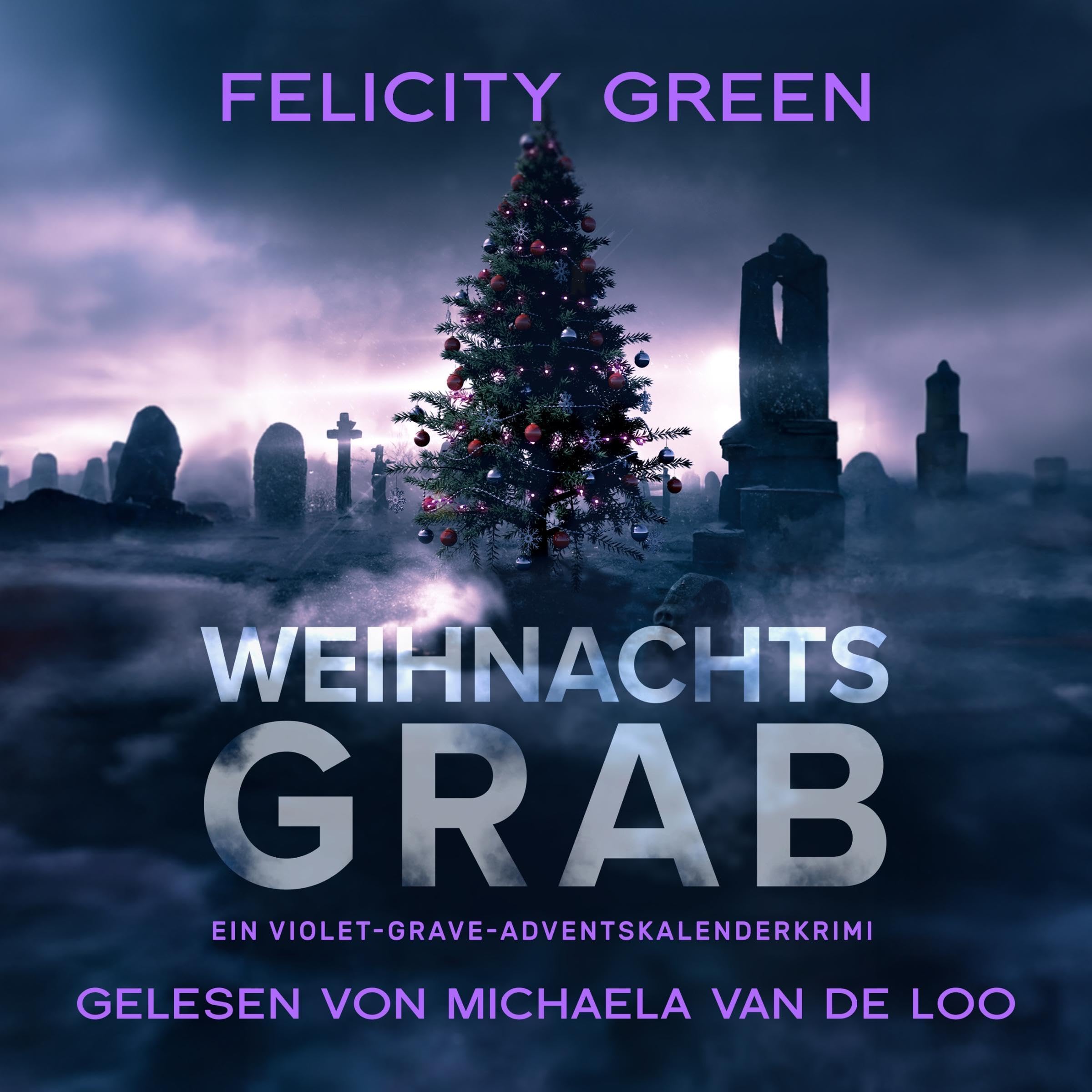 Cover art for Weihnachtsgrab