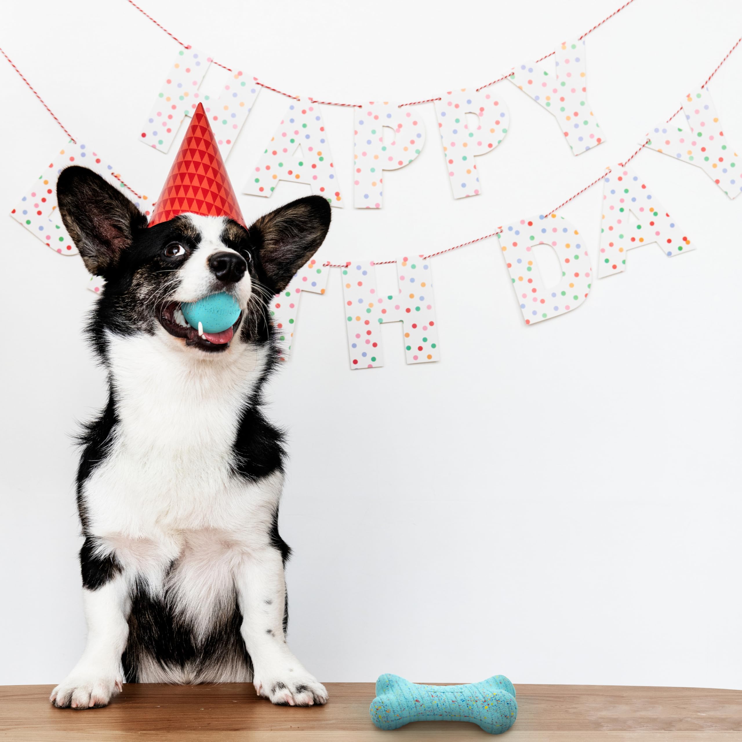 Playology Birthday Box Hundespielzeug für mittelgroße Hunde, natürliche Erdnussbutter, Geburtstagskuchenduft, Geschenkpaket, 1 quietschende Kaubälle, 1 doppellagiger Knochen und 1 Hunde-Bday-Karte