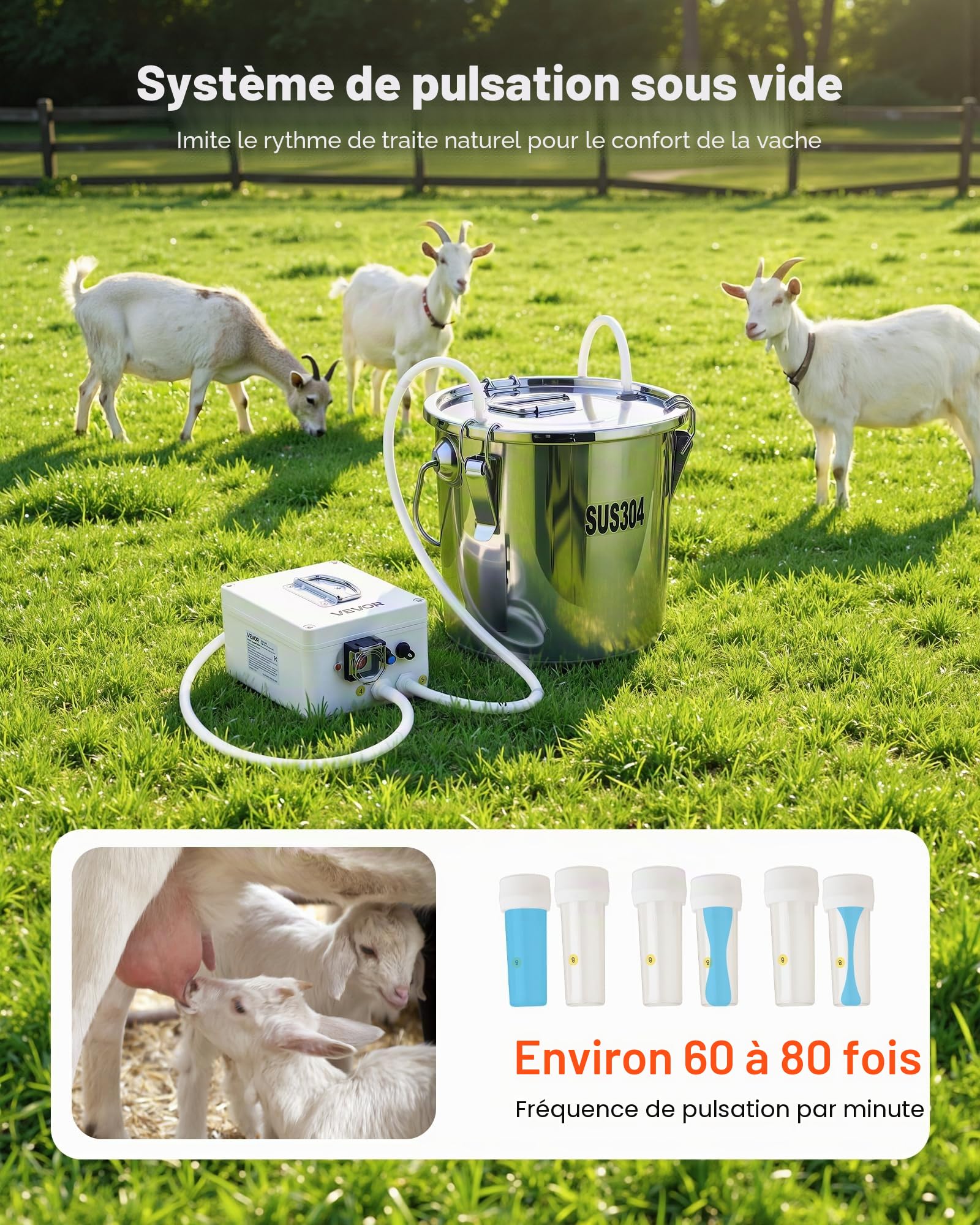 VEVOR Machine à Traire Chèvre Seau 3 L Trayeuse de Mouton en Acier Inoxydable Kit de Traite Brebis Électrique Portable, avec Batterie Rechargeable 5200 mAh, 2 Gobelets Trayeurs, à Pulsation à Vide