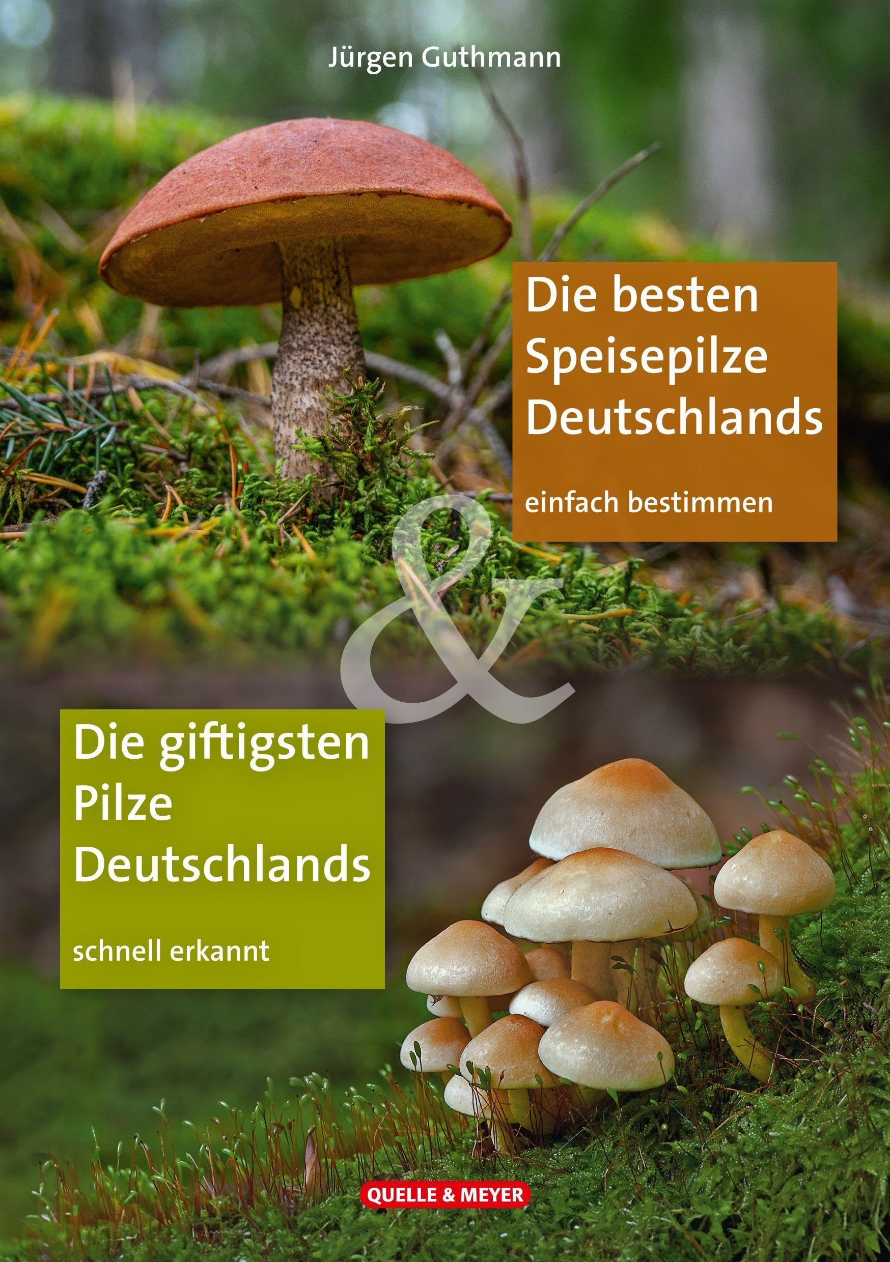 Die besten Speisepilze & Die giftigsten Pilze Deutschlands: Einfach bestimmen – schnell erkannt