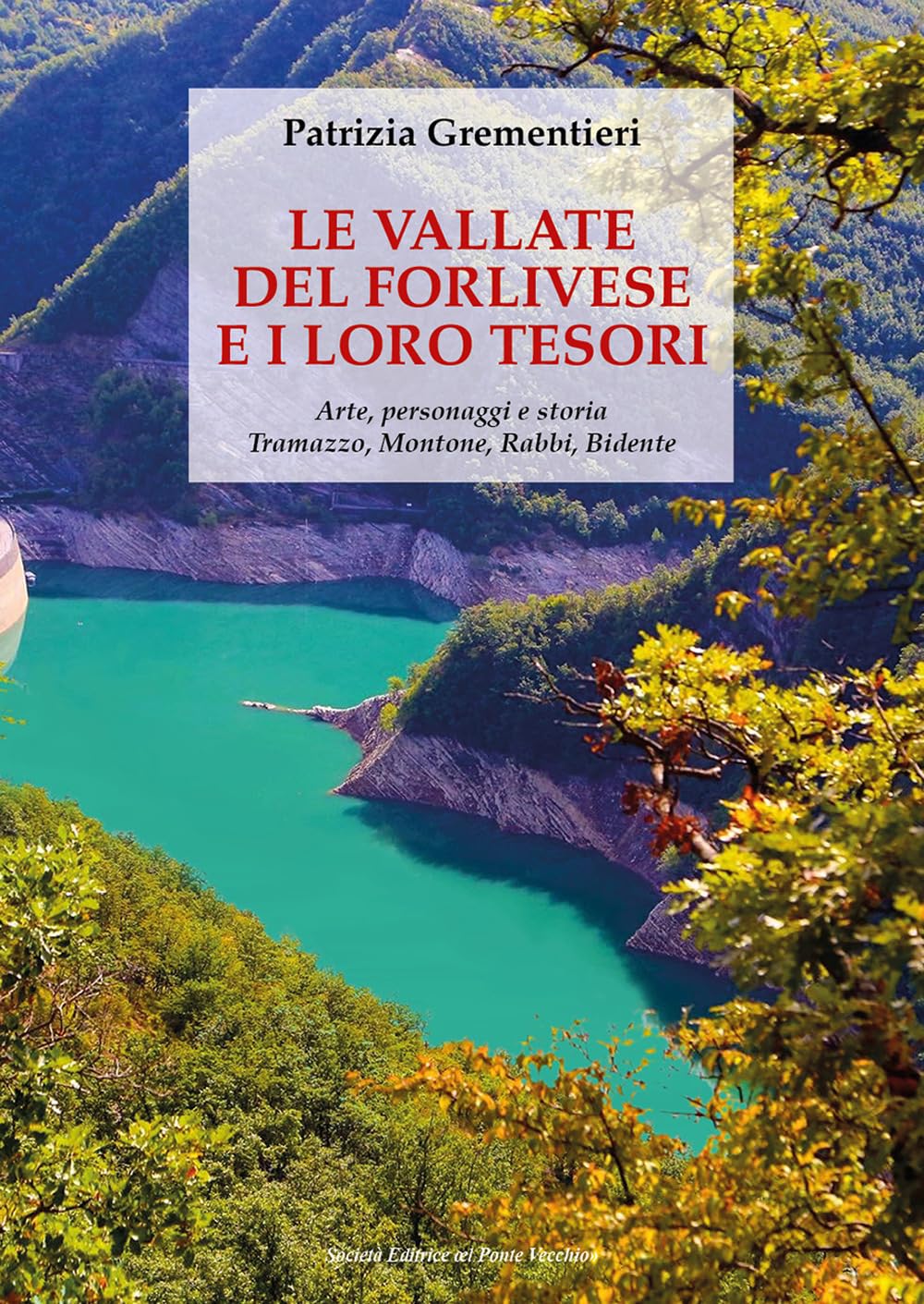 Le vallate del forlivese e i loro tesori. Arte, personaggi e storia. Tramazzo, Montone, Rabbi, Bidente. Ediz. a colori