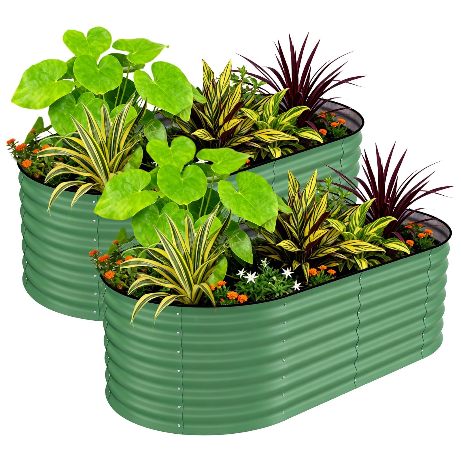 2 Pack Raised Garden Bed, 180*90*60cm Galvanised Metal Large Deep Planter for Vegetables Flowers & Herbs, Heavy-Duty Outdoor Raised Beds for Garden with Protective Edging & Support Bars, Easy Assembl