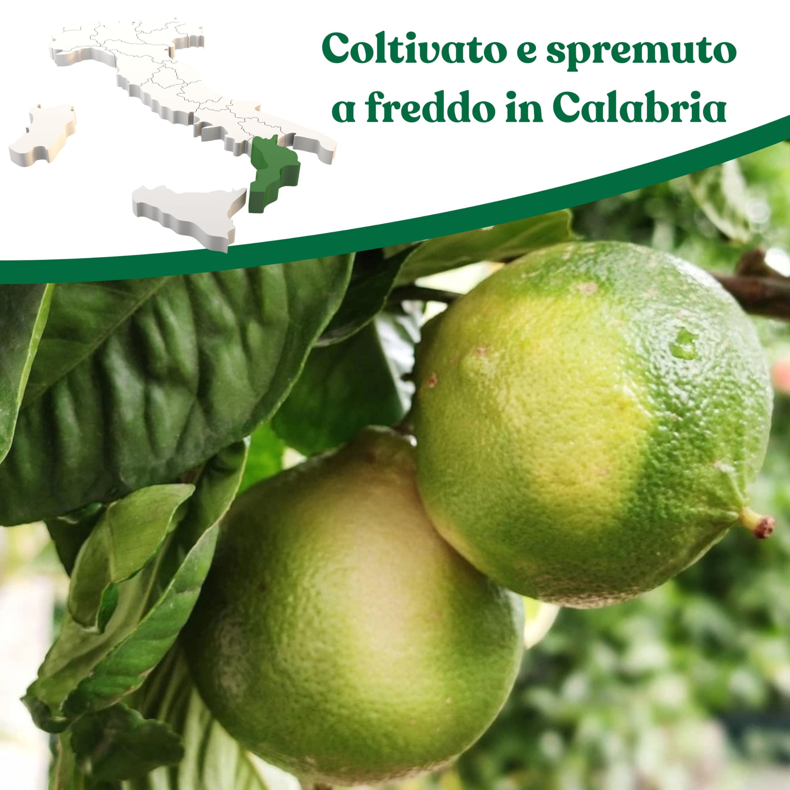 Agropic Succo di Bergamotto Puro Bio, 200 ml, Bergamotto Succo Puro Biologico, 12 bottiglie, Senza Zuccheri Aggiunti e Conservanti, Realizzato in Calabria