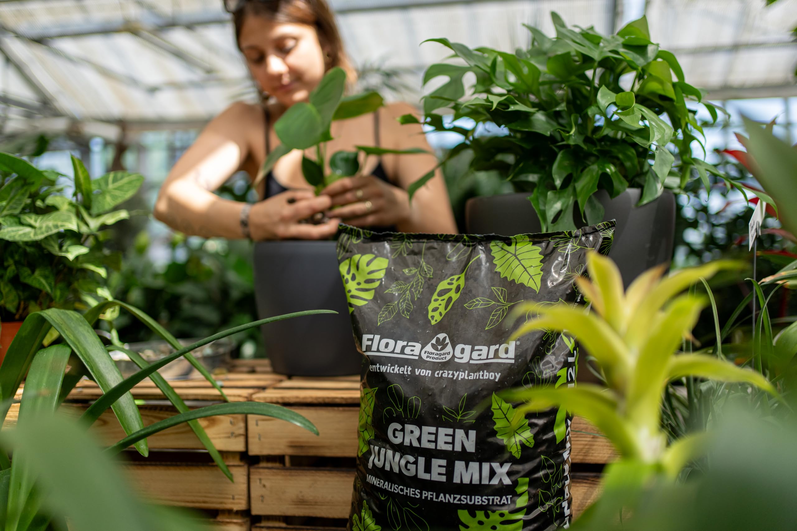 Floragard Green Jungle Mix 6 L  mineralisches Pflanzsubstrat fr Monstera,  Philodendron  sorgt fr optimale Drainage & gesundes Wurzelwachstum   ideal fr anspruchsvolle Zimmerpflanzen : Amazon.de: Garten