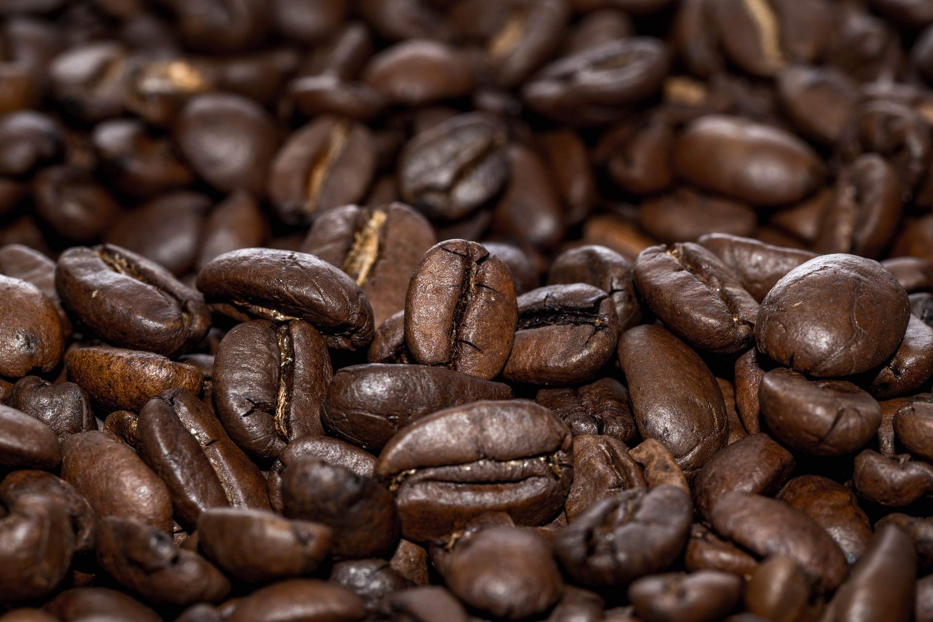 C&T BIO Green Angel Espresso Deluxe 3 x 1000 g ganze Kaffeebohnen - der Fruchtige - Ökologischer Kaffee aus der beliebten Espresso Angel Serie