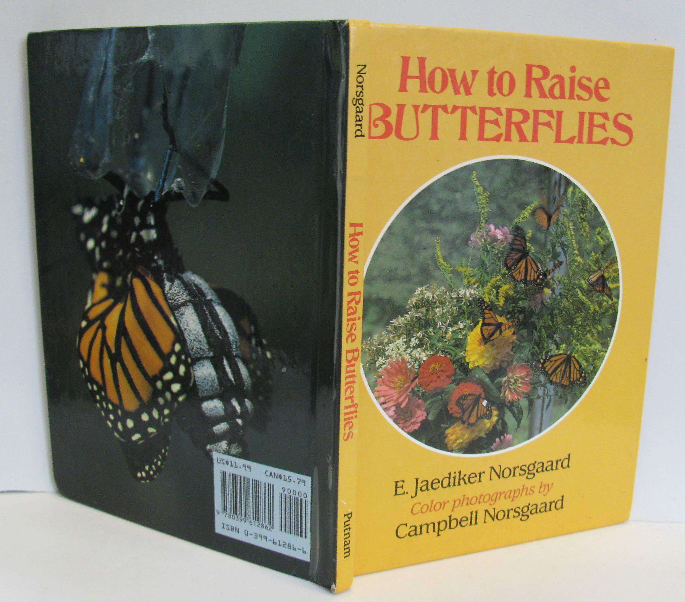 How to Raise Butterflies Norsgaard, E. Jaediker