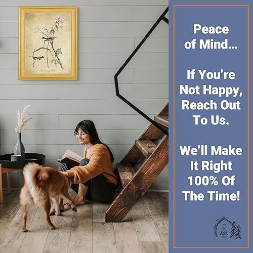 Vista 238 de Towee Bunting by James Audubon - Marco biselado negro de 12 x 16 pulgadas, decoración artística enmarcada para pared, reproducción de pinturas