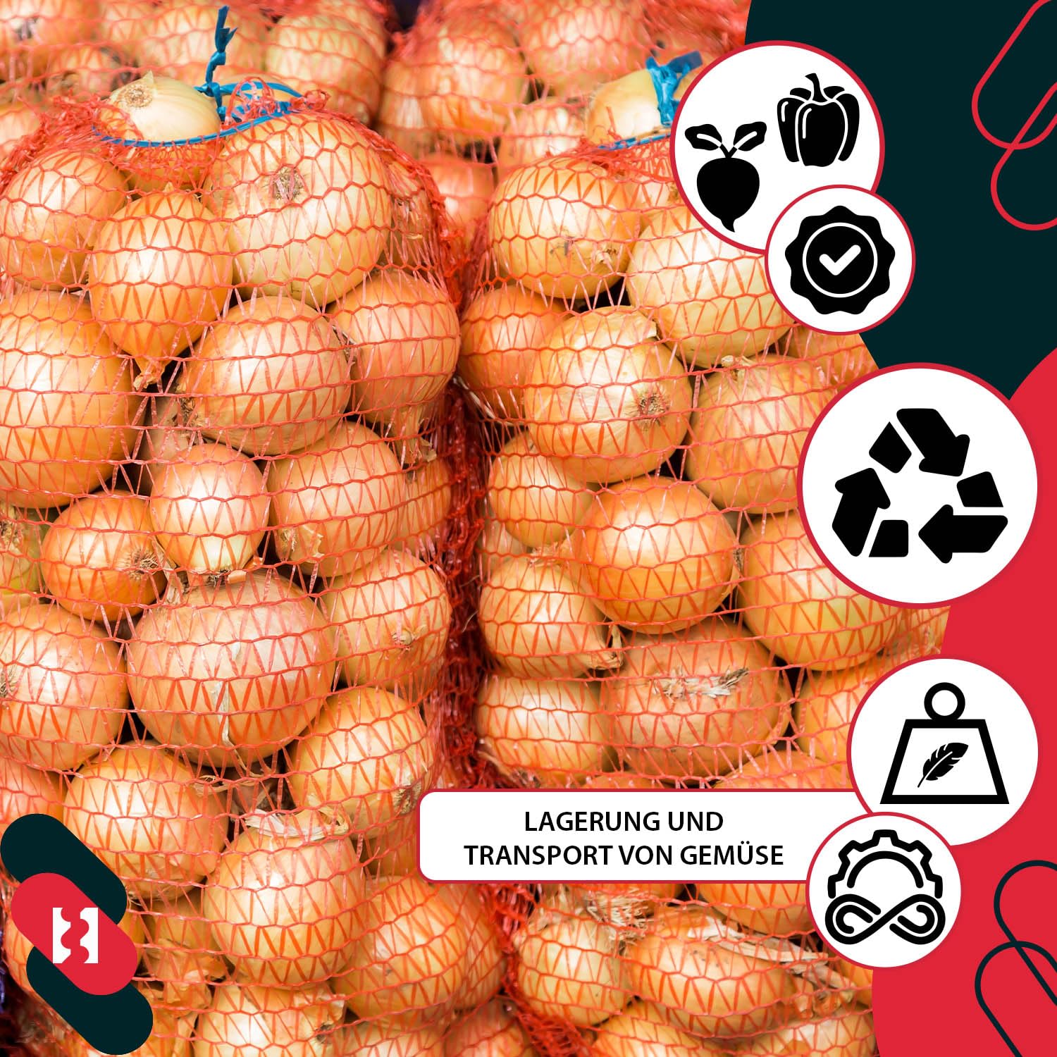 KOTARBAU Lot de 100 sacs à pommes de terre - 50 x 80 cm - Sac à fruits - 25 kg - Polypropylène - Filet à légumes - Sac de rangement - Pour oignons, pommes de terre, légumes, orange