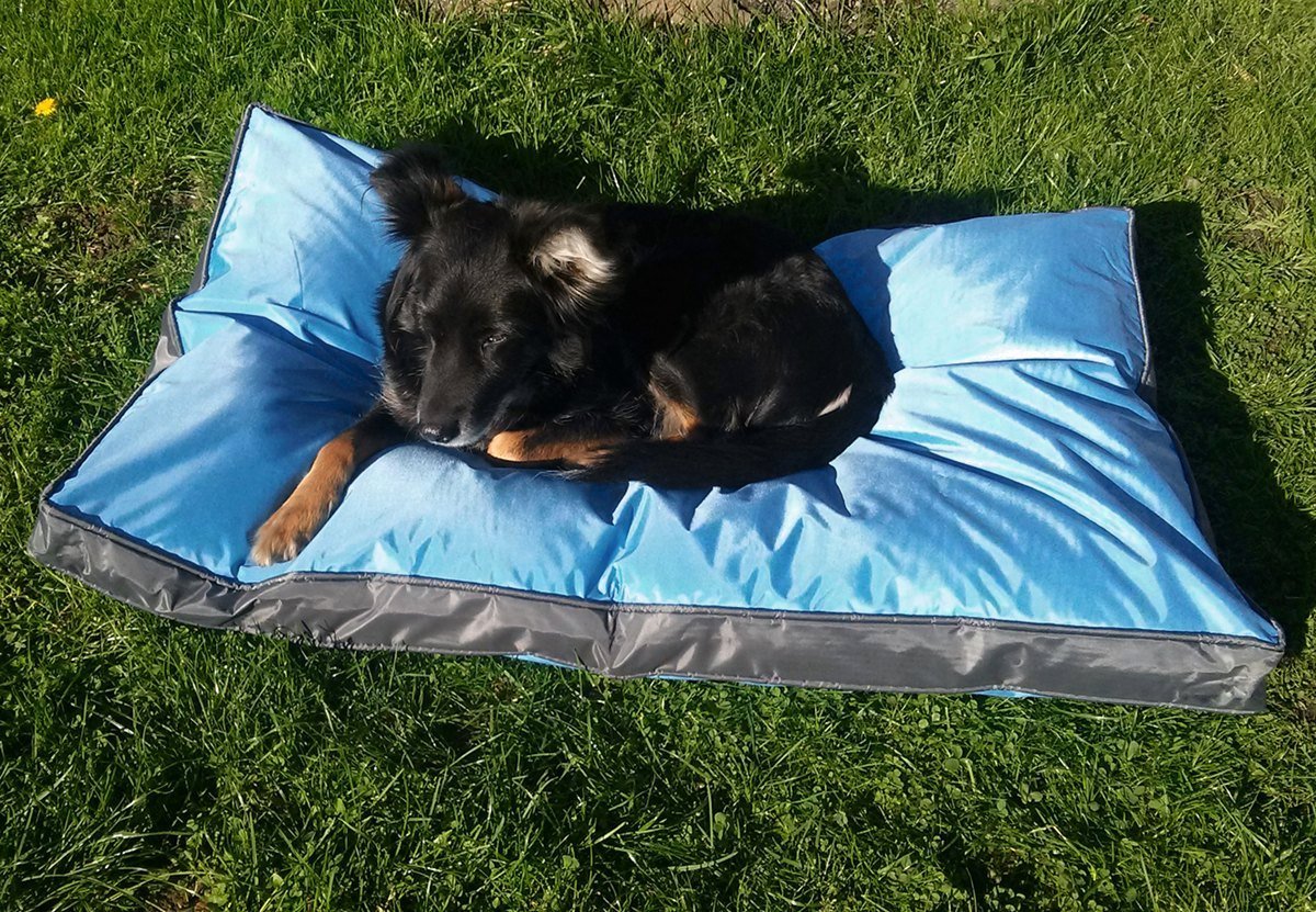 kudde hundebett ausverkauf zu sonderpreisen Orthopdisches Hundebett Bundle mit groem Ankuschelhund