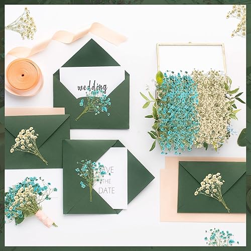 Miniatura 4 de 200 Piezas Flores Secas Prensadas Baby's Breath Ramas Naturales de Gypsophila Ramo de Gypsophila para Bodas Manualidades DIY Decoración del Hogar